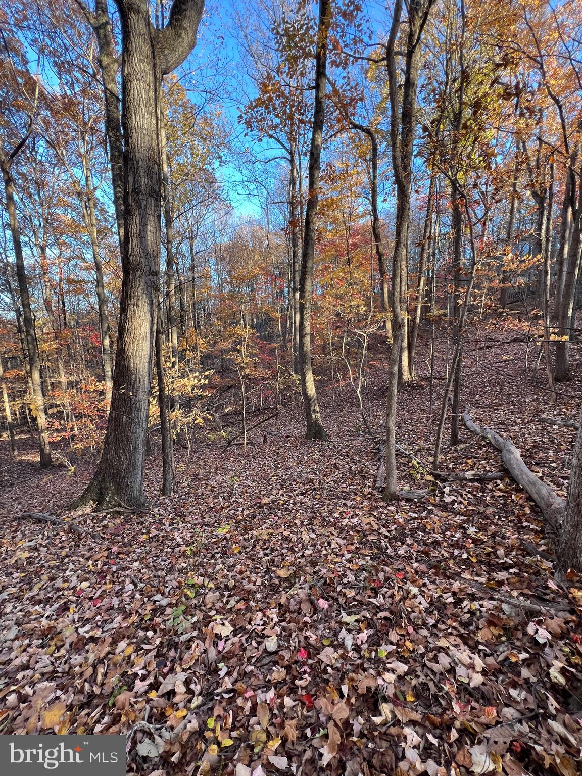 SHENANDOAH FARMS - Land
