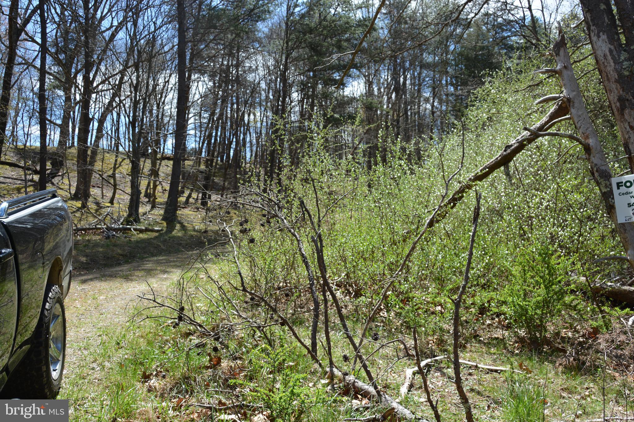 MAJESTIC KNOLL - Land