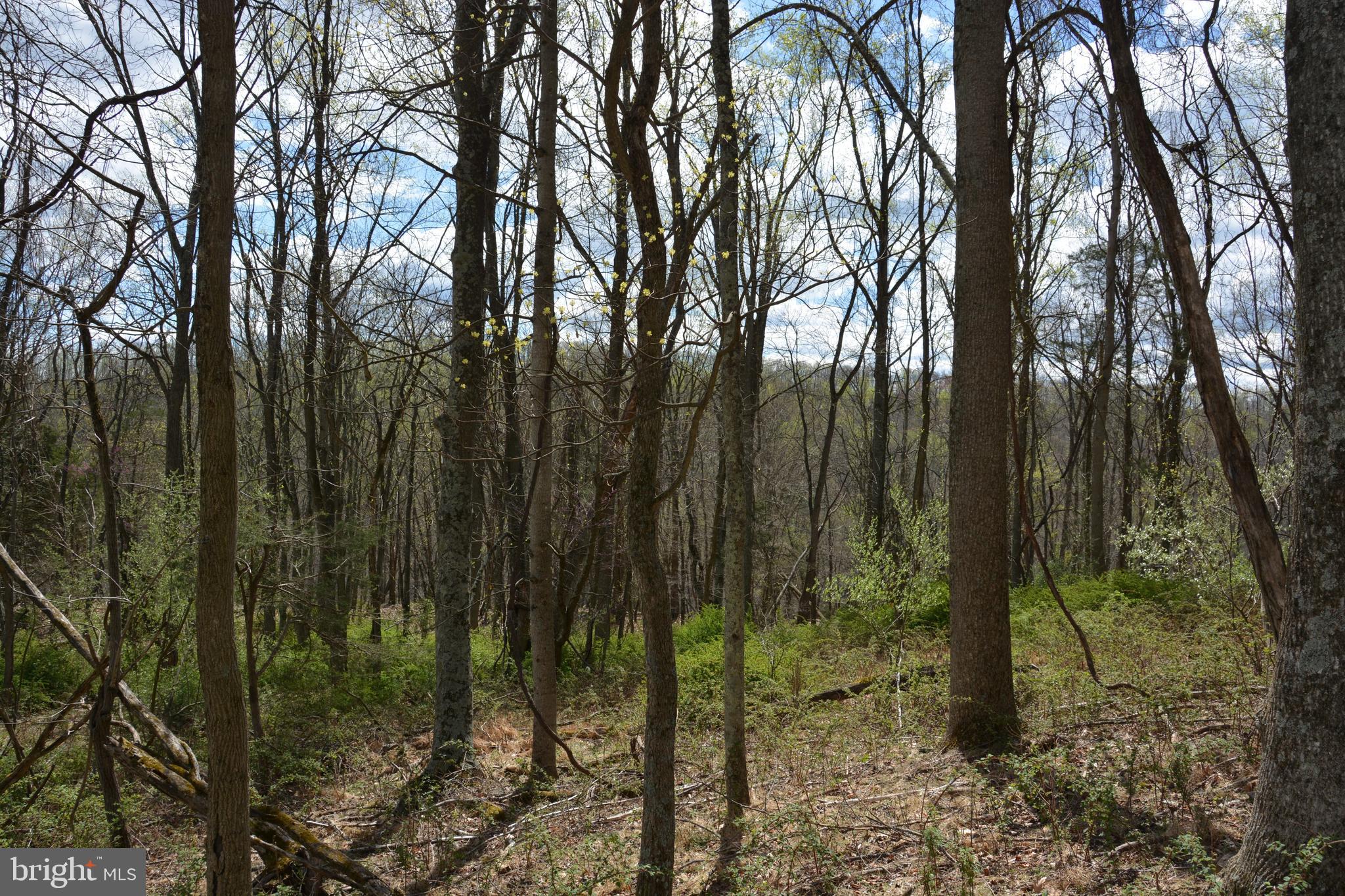 MAJESTIC KNOLL - Land