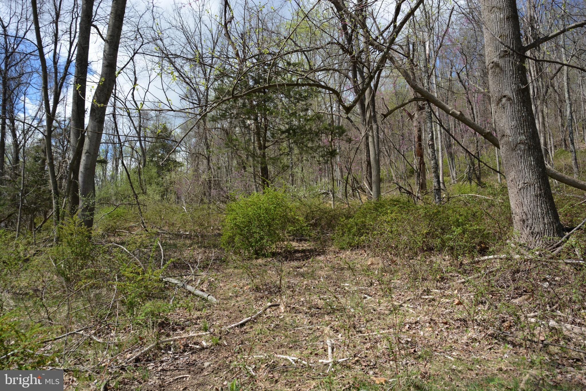 MAJESTIC KNOLL - Land