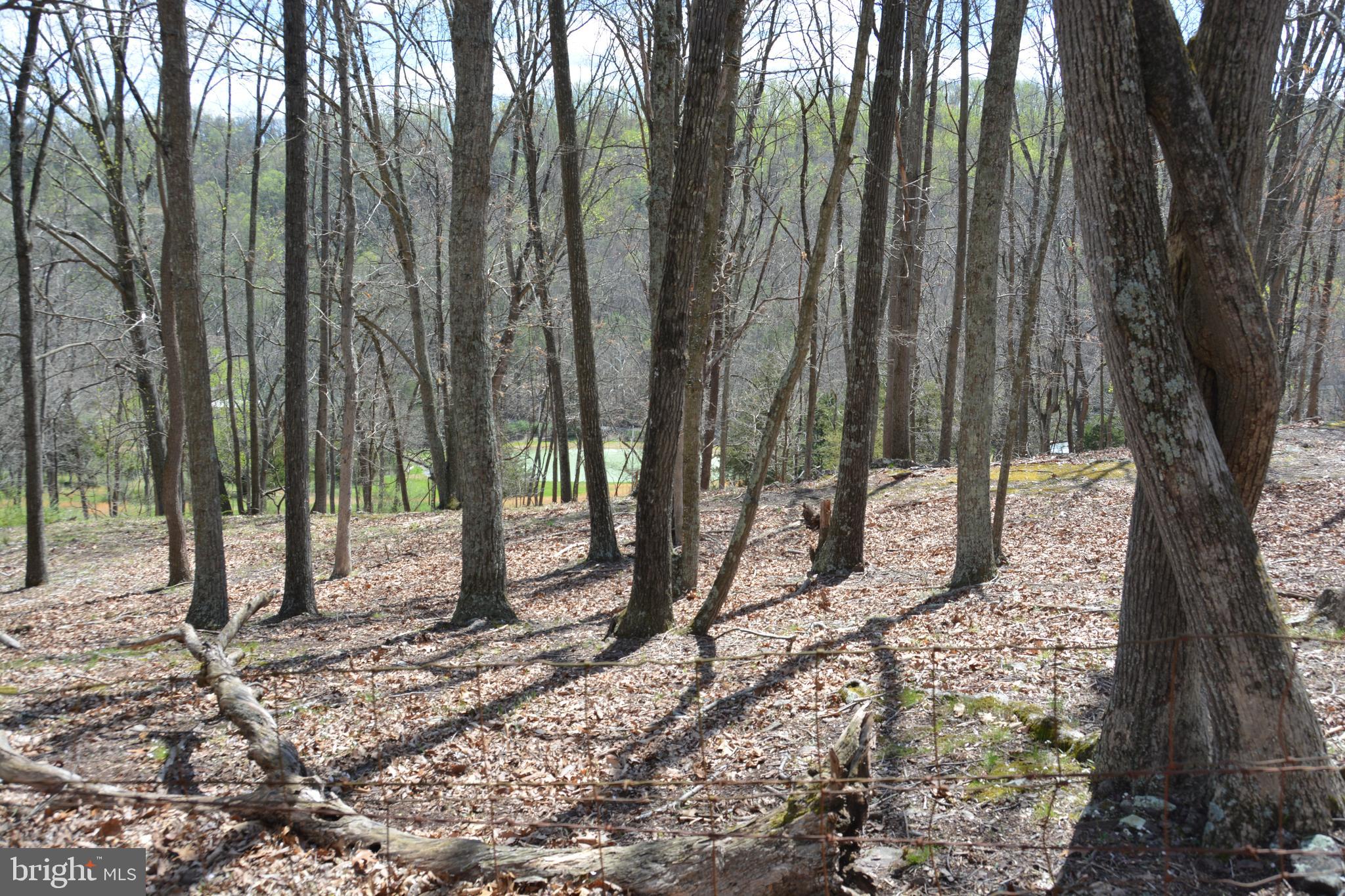 MAJESTIC KNOLL - Land