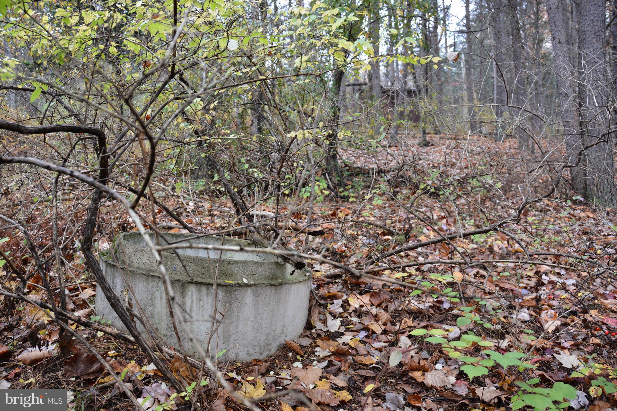 MAJESTIC KNOLL - Land