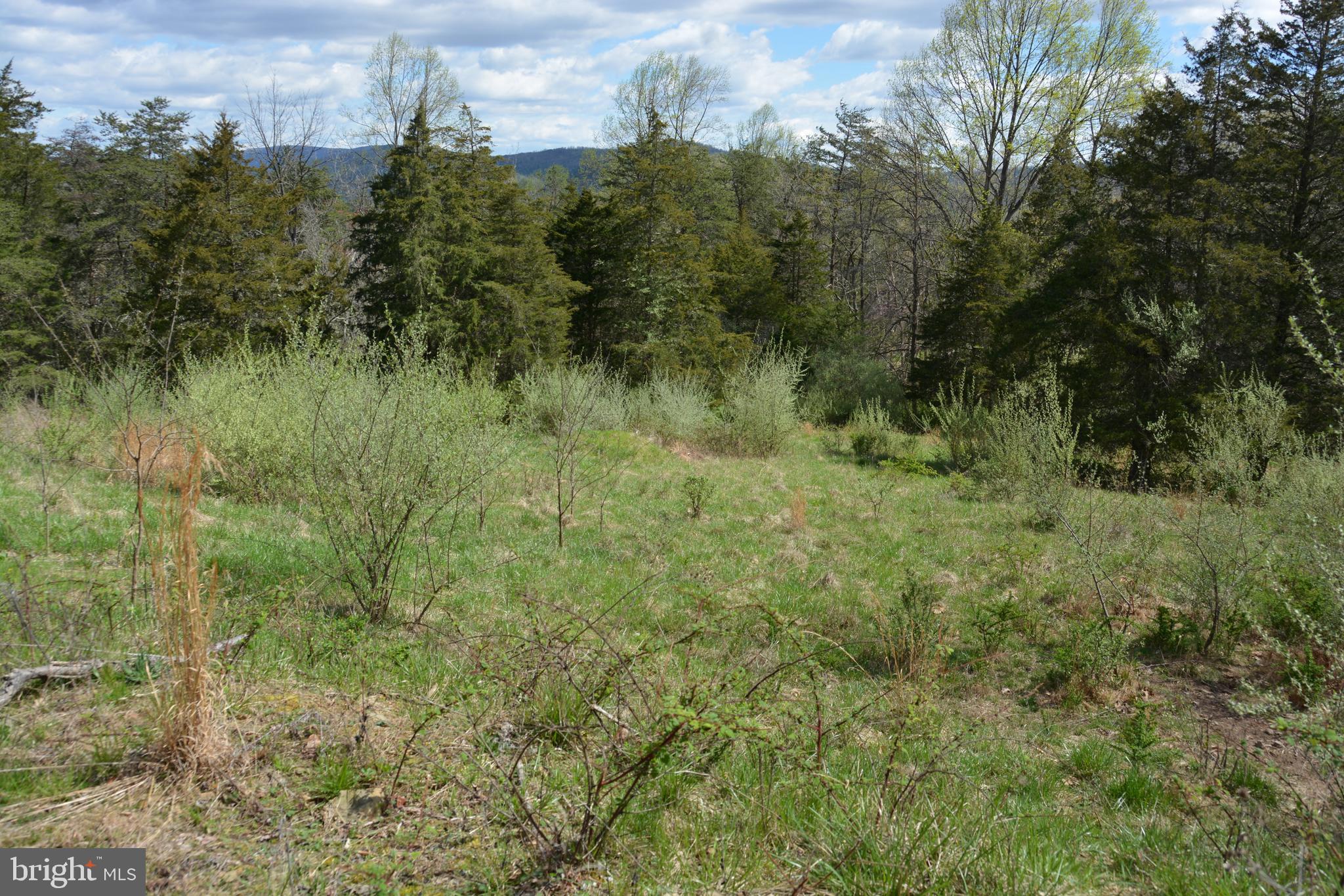 MAJESTIC KNOLL - Land