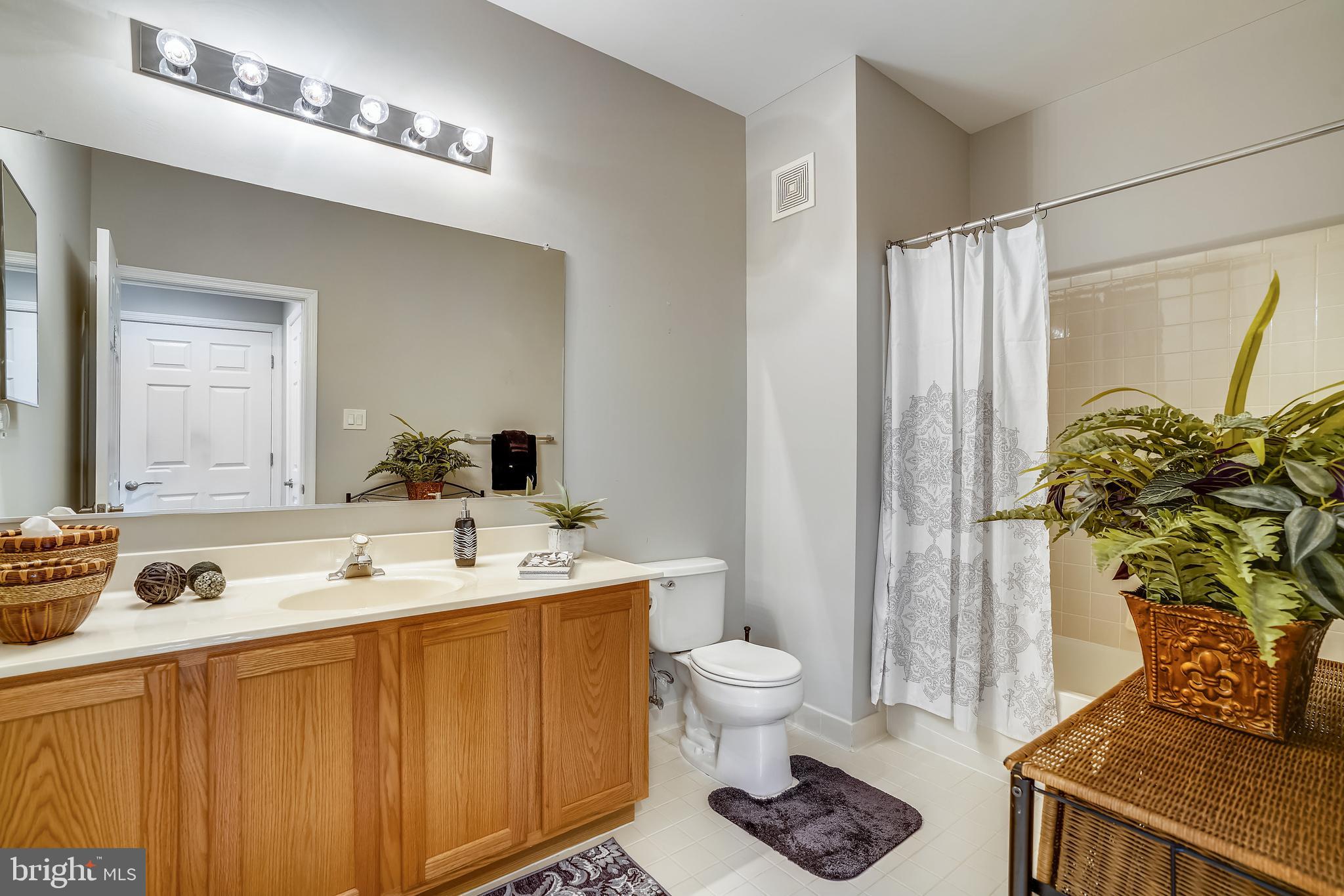 THE WHITNEY TOWN CENTER - Residential