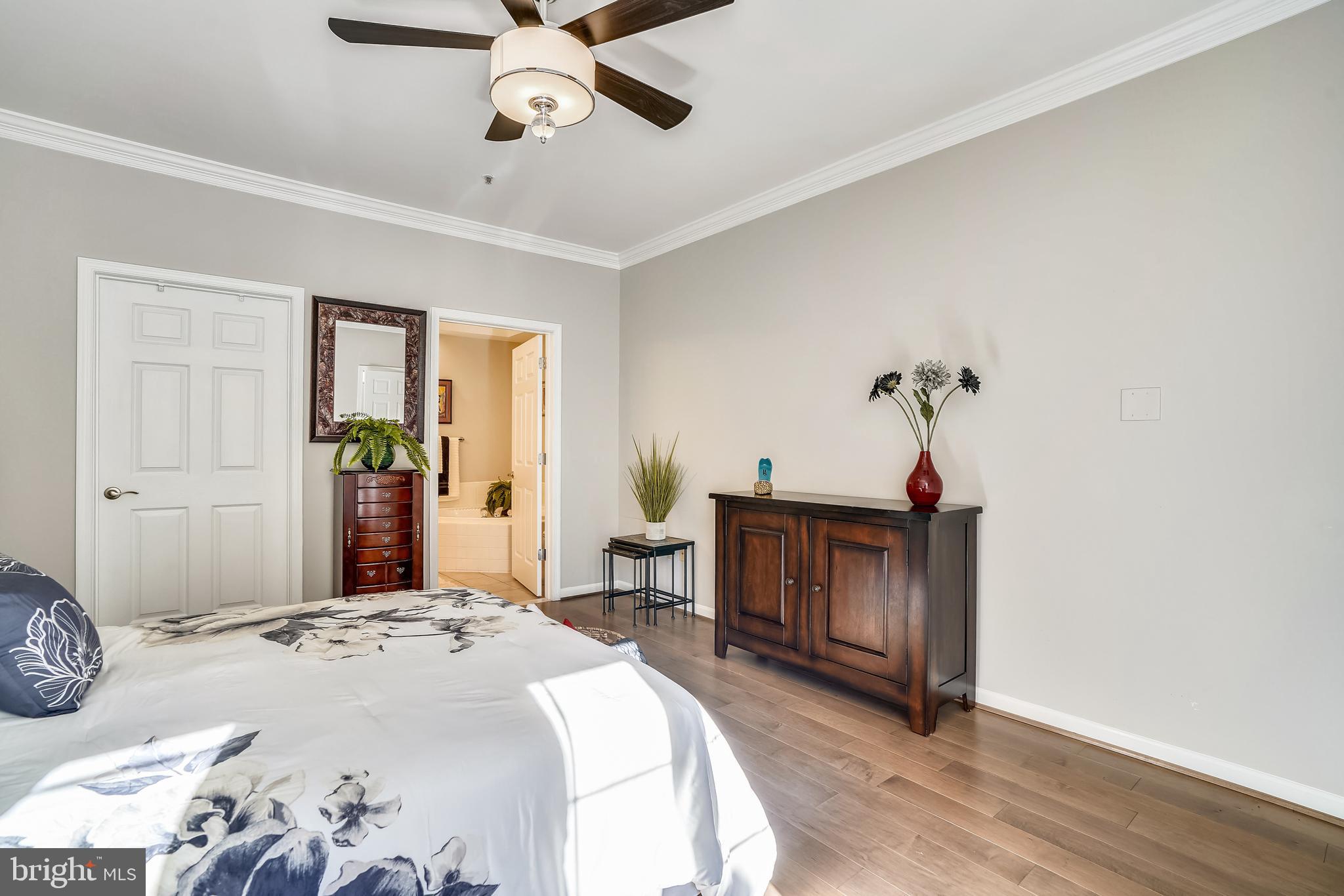 THE WHITNEY TOWN CENTER - Residential