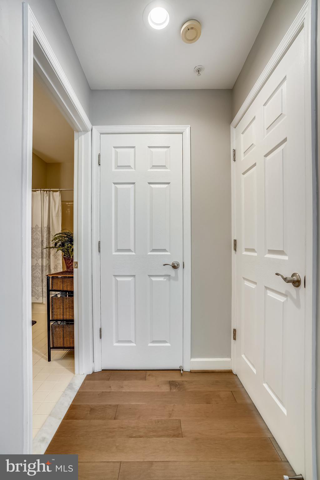 THE WHITNEY TOWN CENTER - Residential