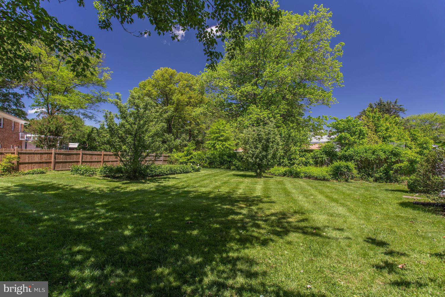 COURTLAND PARK - Residential