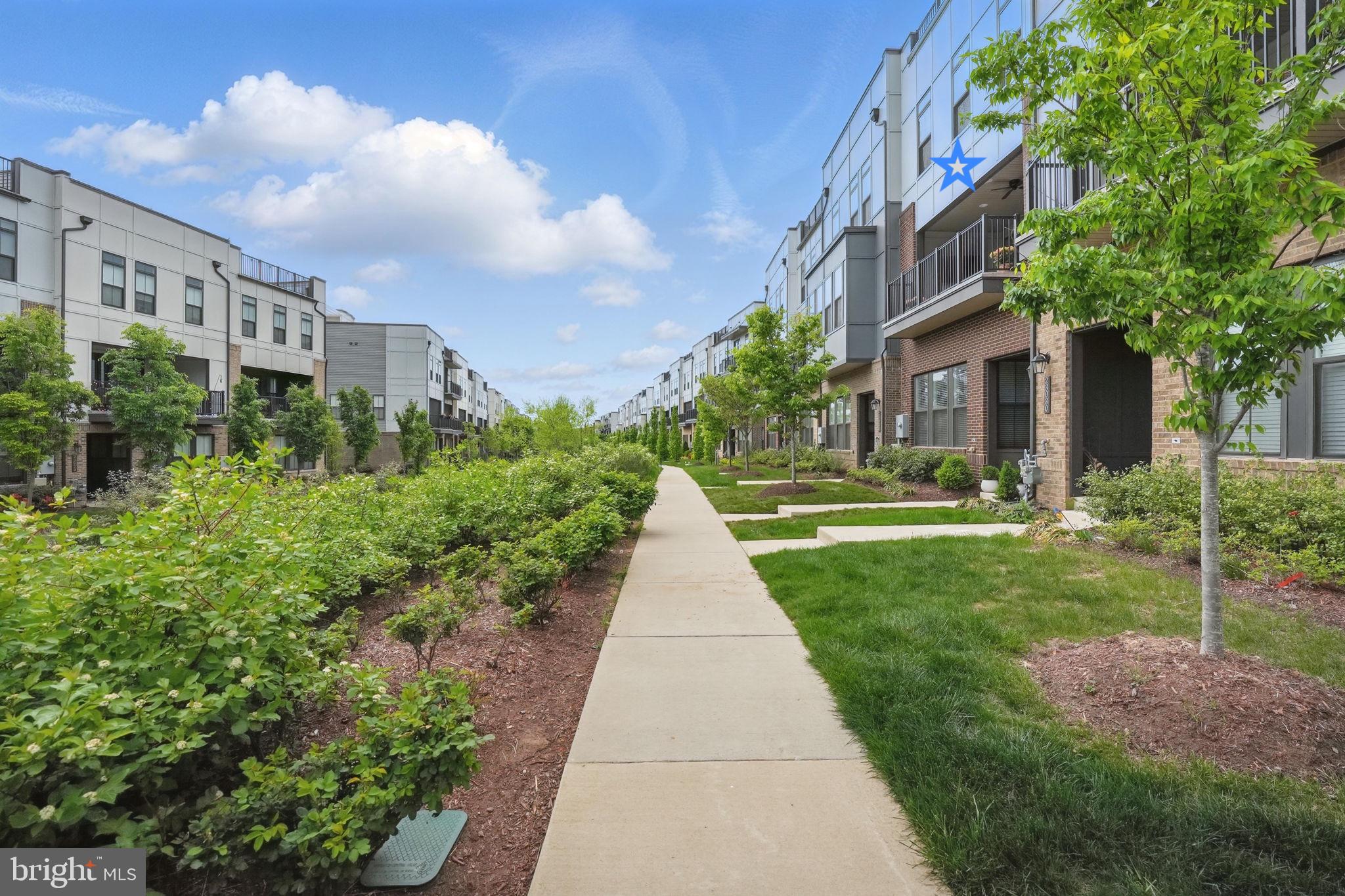 BRAMBLETON TOWN CENTER - Residential