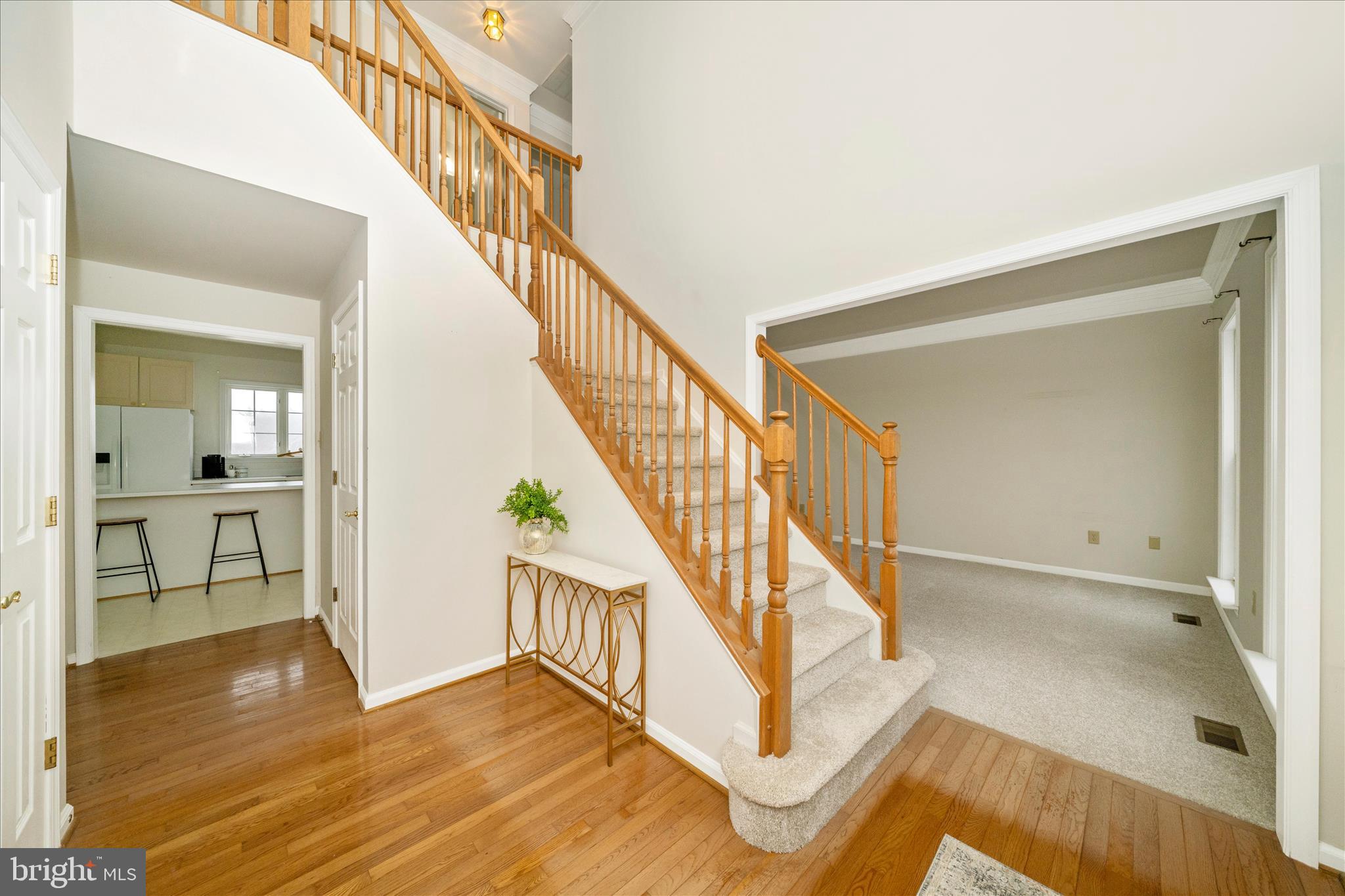 THE PADDOCKS - Residential