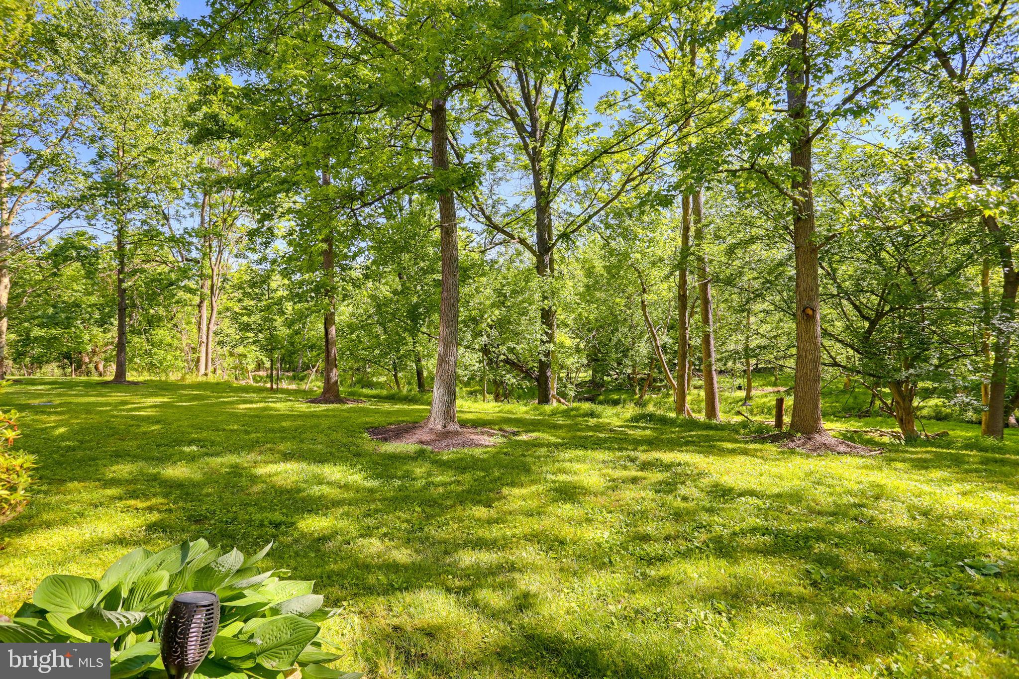 DORSEY HALL - Residential