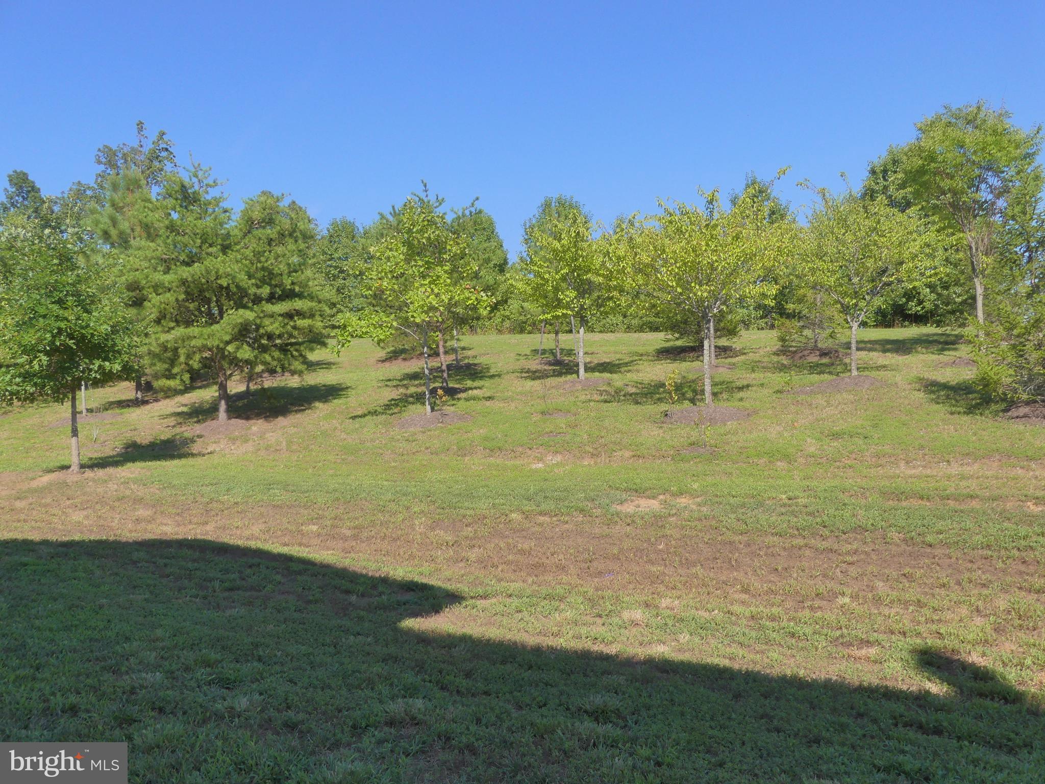 PORT POTOMAC - Residential