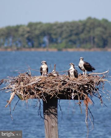 NECK DISTRICT - Residential