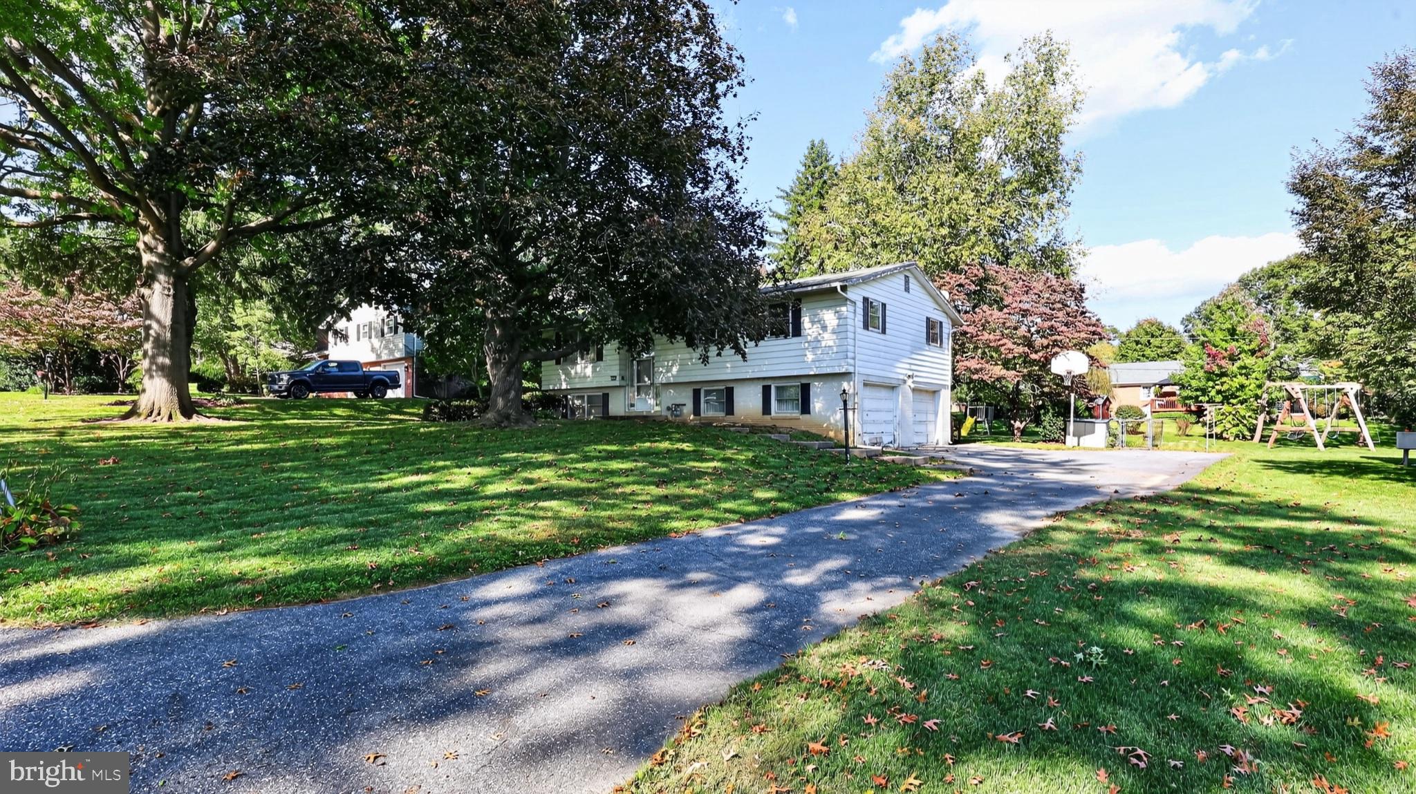 53 LOGGING ROAD