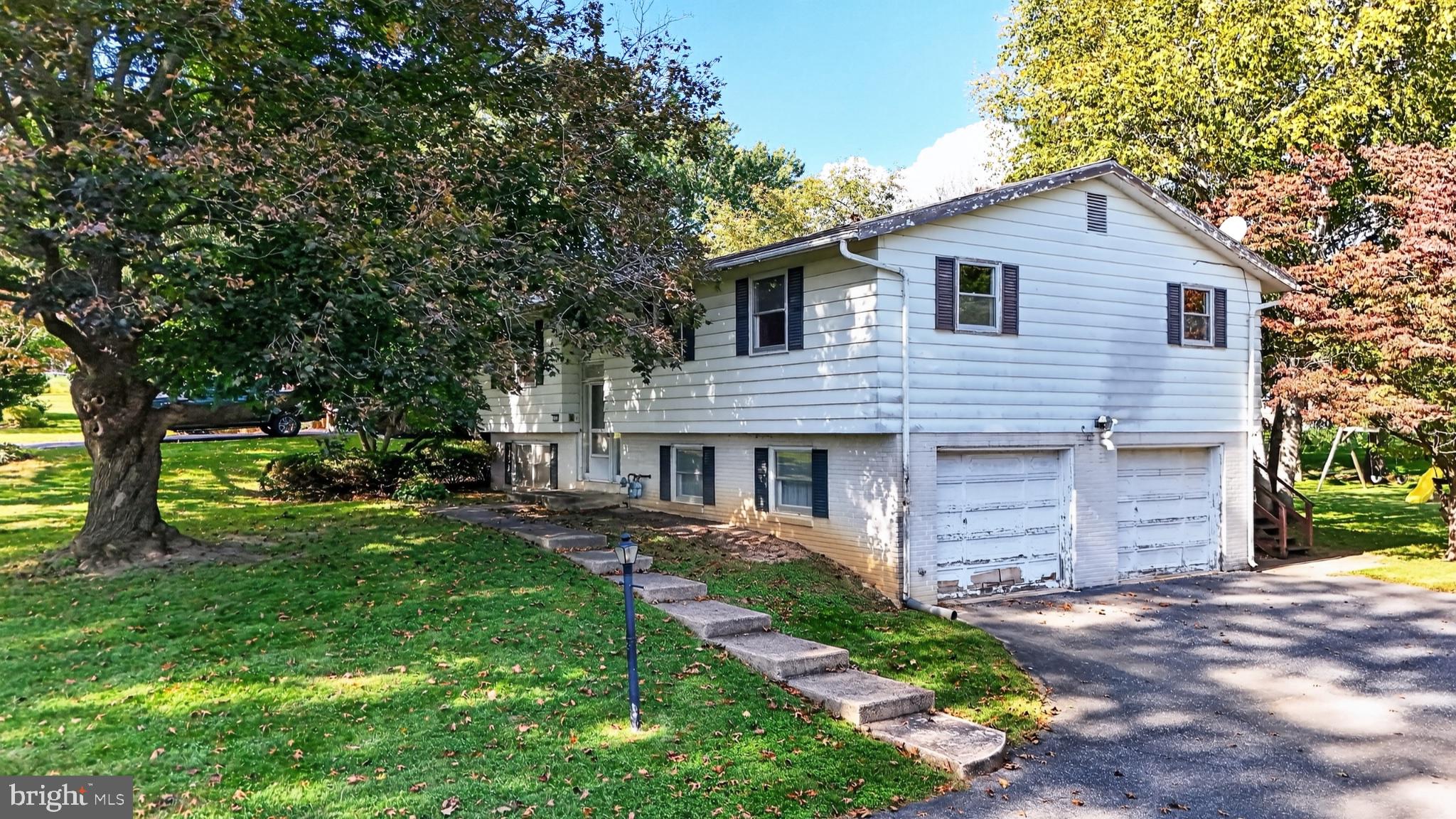 53 LOGGING ROAD