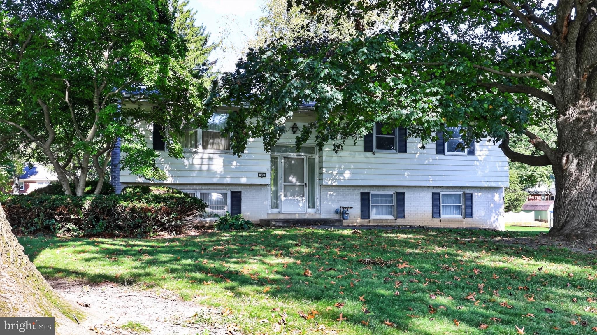 53 LOGGING ROAD