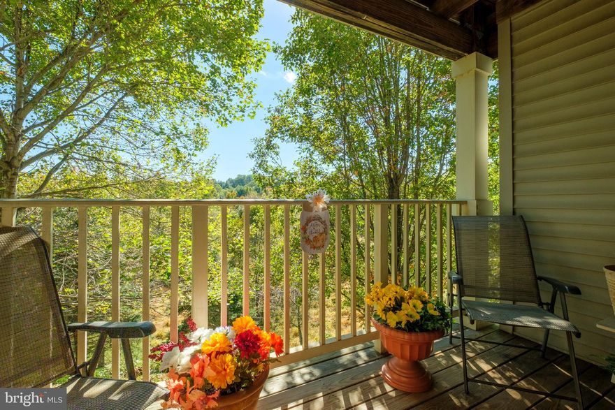 If you are looking for a condo with no steps ....  This is the perfect place.   Lovely 2 bedroom, 2 full bath condo.  You can enjoy your coffee and watch the seasons change from your private balcony.  Backs to  woods.   The entrance leads you into the foyer, laundry room with newer washer & dryer, nice size living room, dining room, and kitchen.  Both bedrooms are nice sizes.  The primary bedroom faces the back woods with a walk in closet and en suite bathroom.  The guest bedroom has an adjoining door into the guest bathroom.  Great location, close to shopping and restaurants.  1 Year HSA Warranty included.