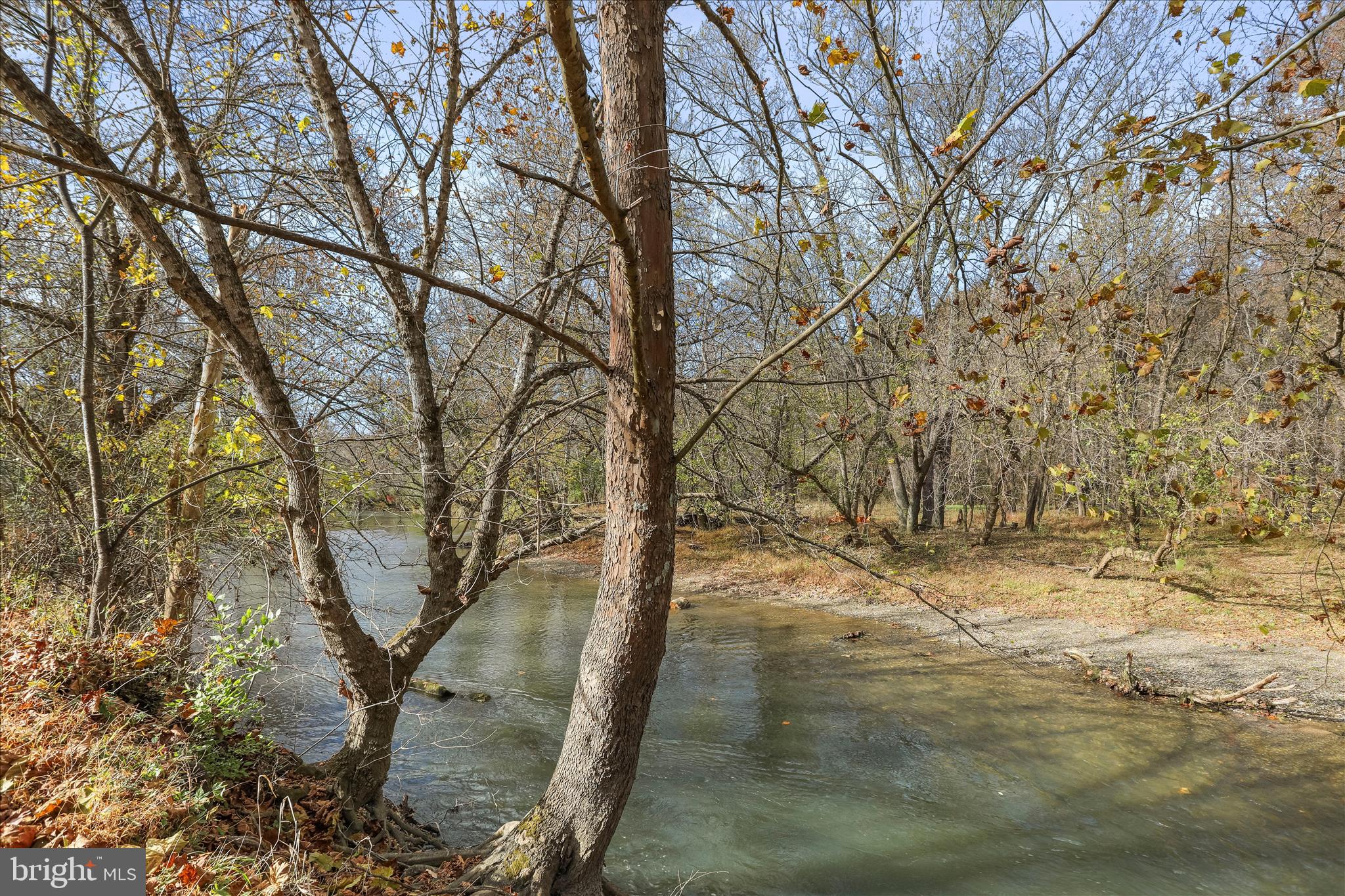 339 LOGANS RUN DRIVE