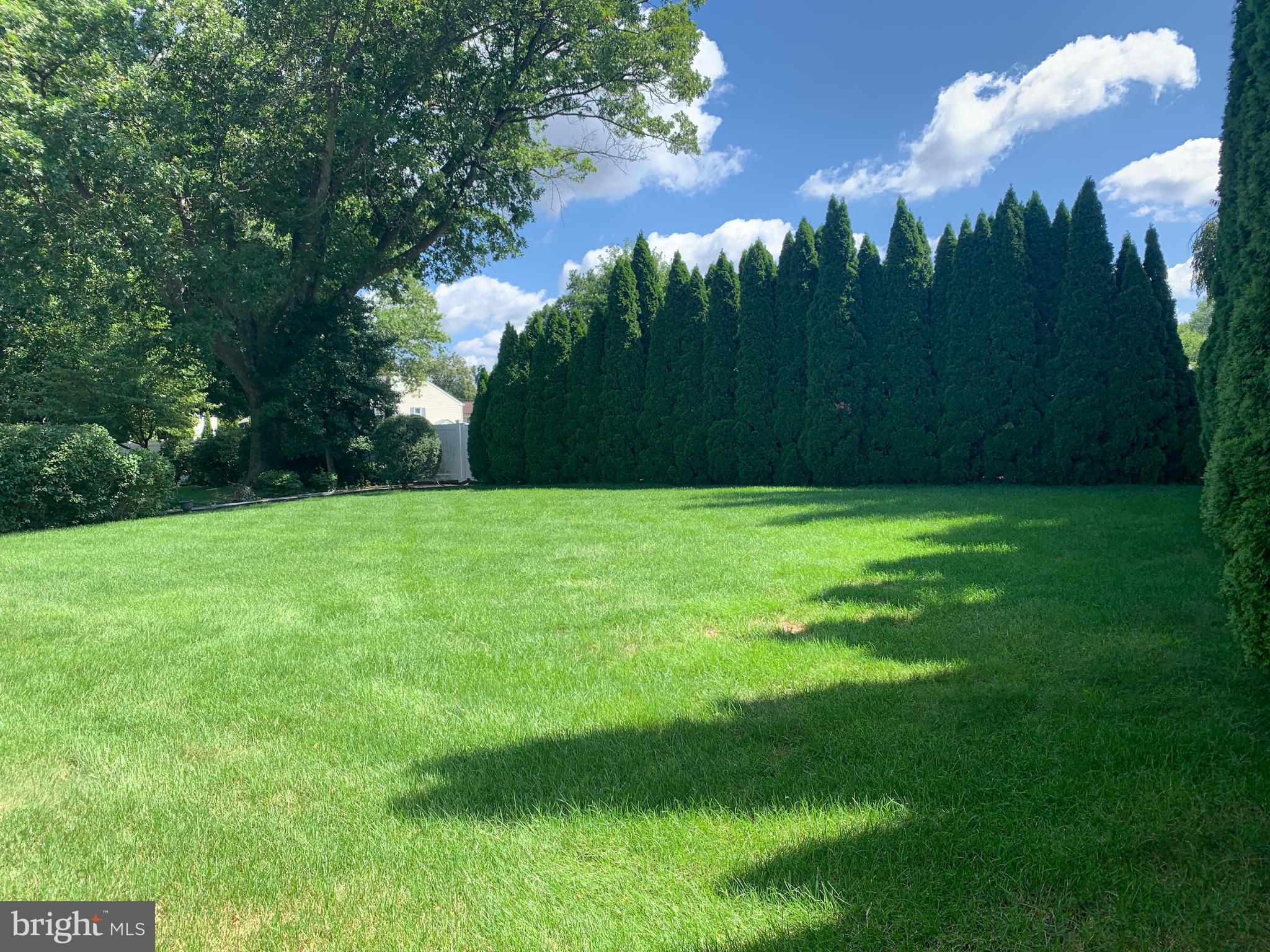 HEDGEROW WOODS - Residential