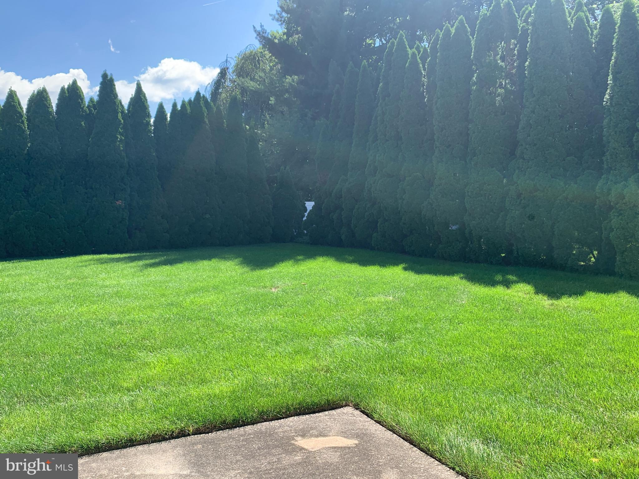 HEDGEROW WOODS - Residential