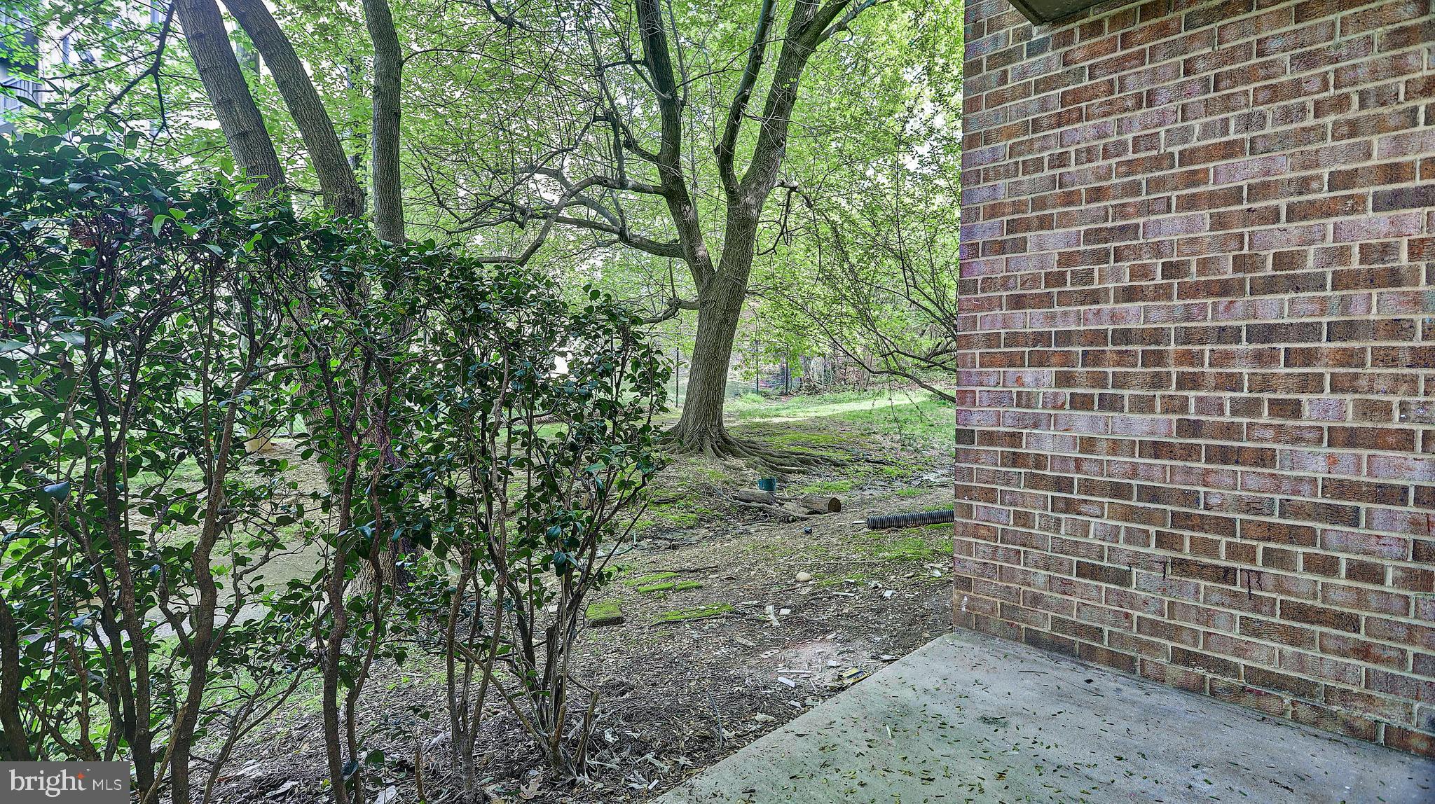 SAXONY SQUARE - Residential