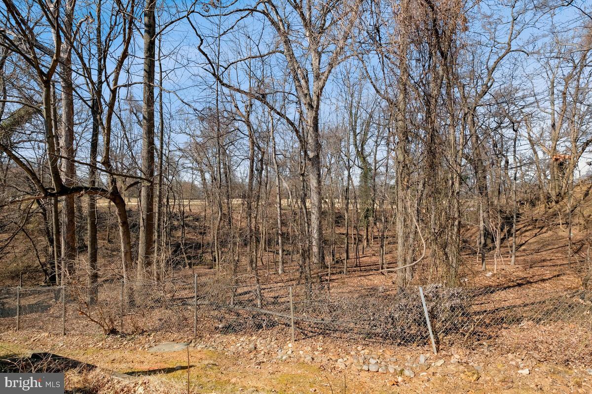 CHADSBERRY - Residential