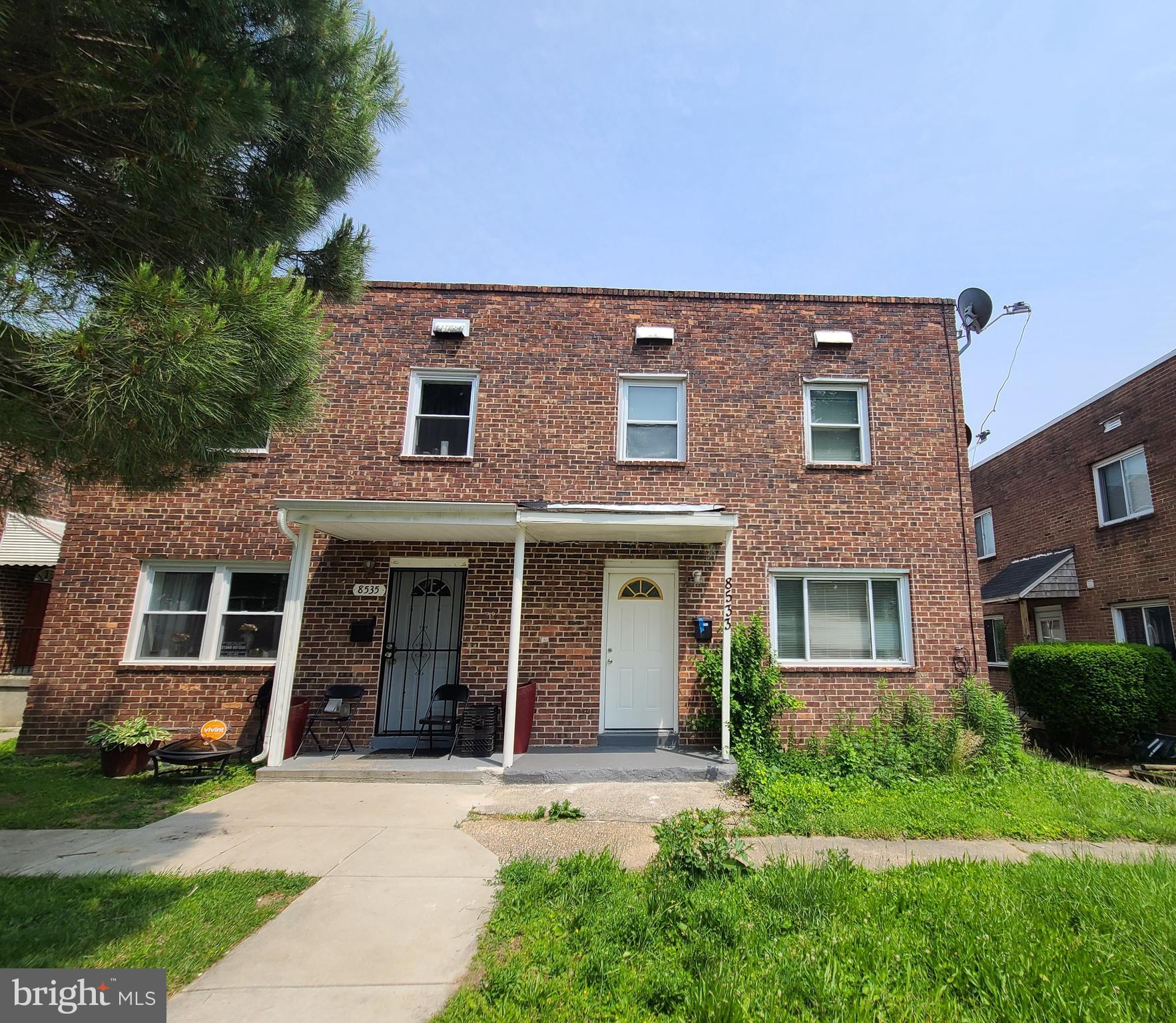 8533 CHESTNUT OAK