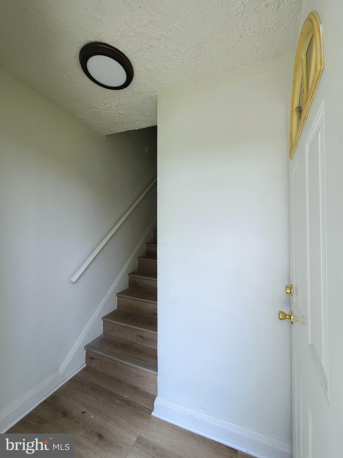 8533 CHESTNUT OAK