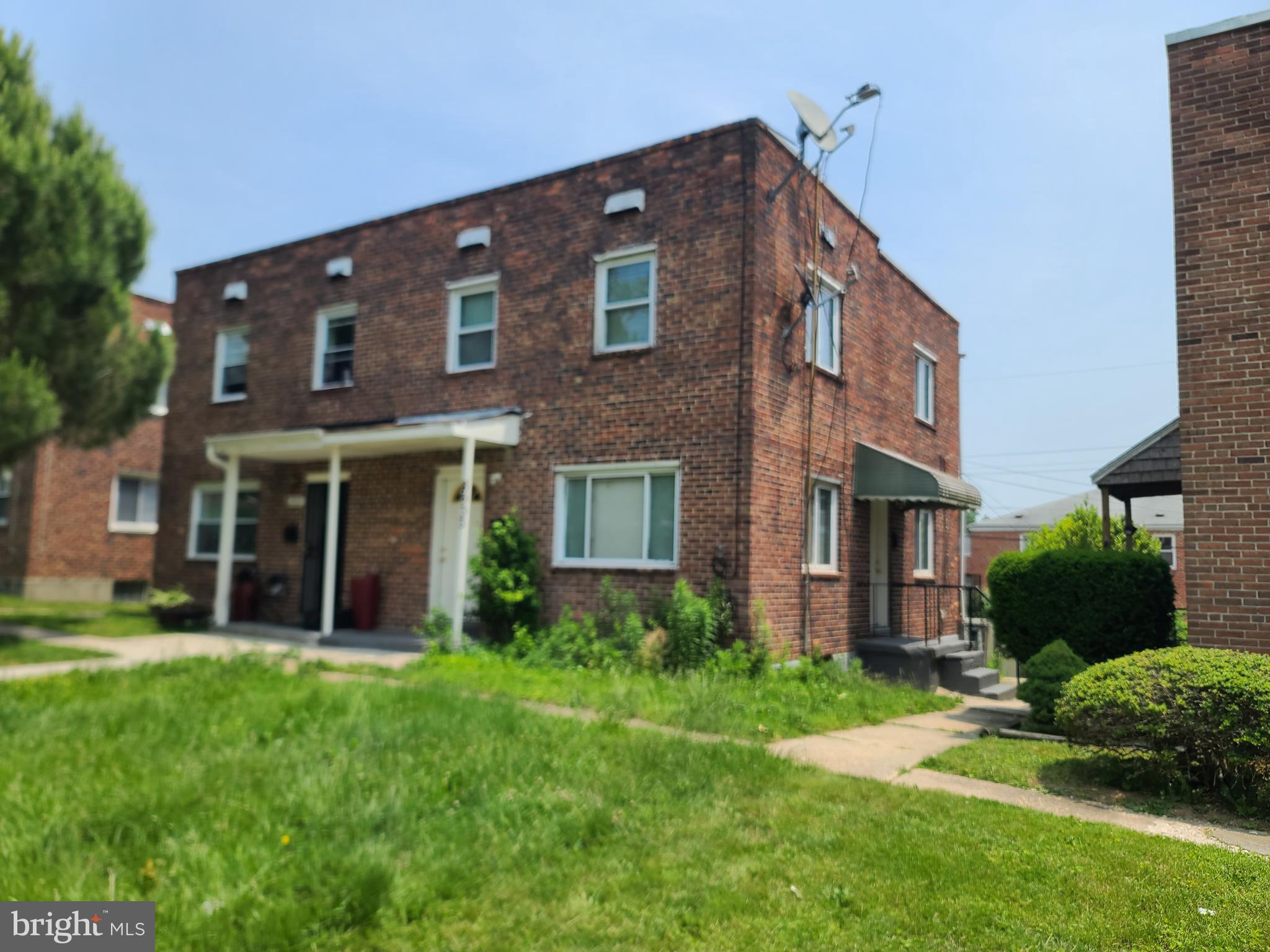 8533 CHESTNUT OAK