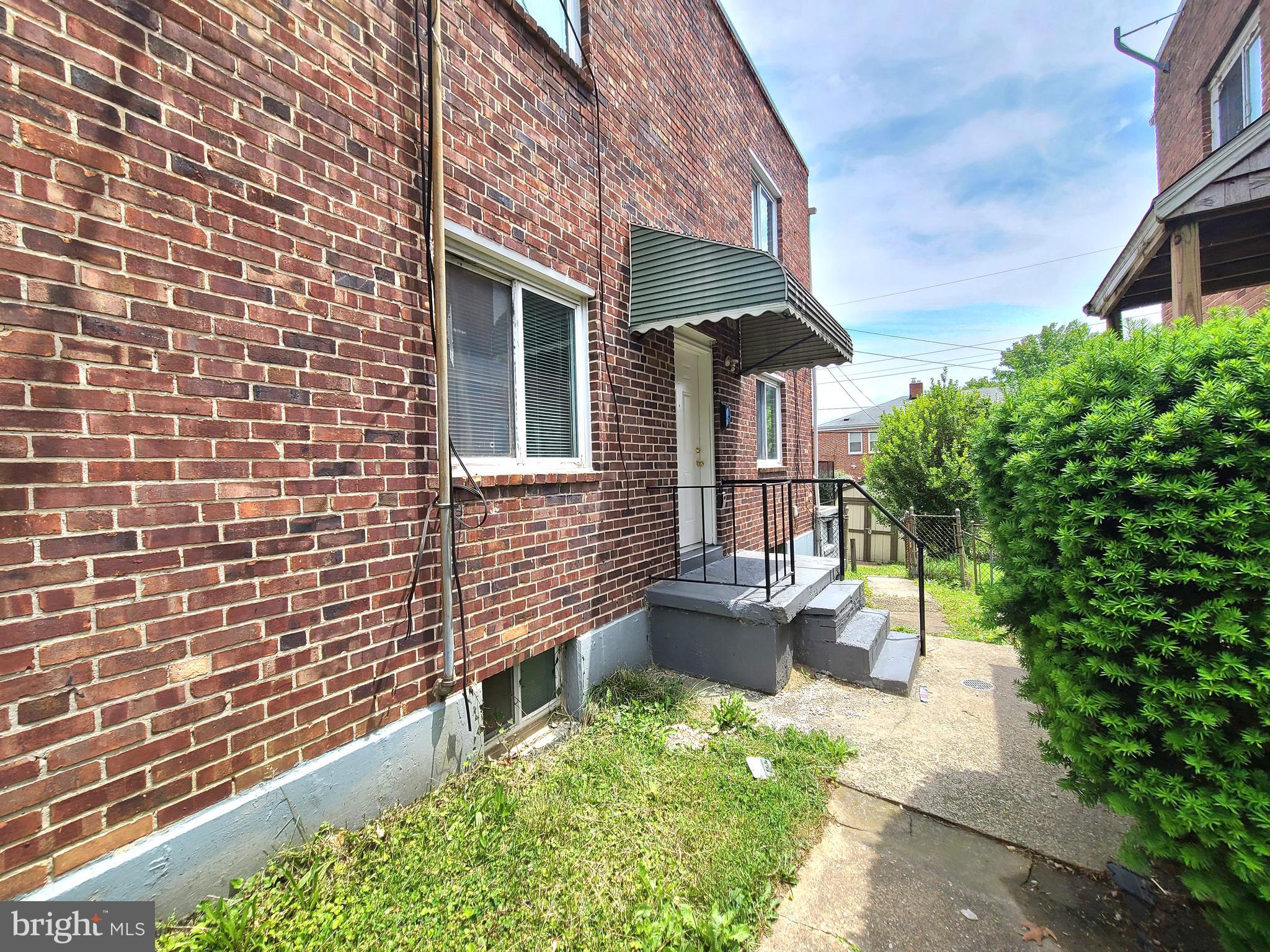 8533 CHESTNUT OAK