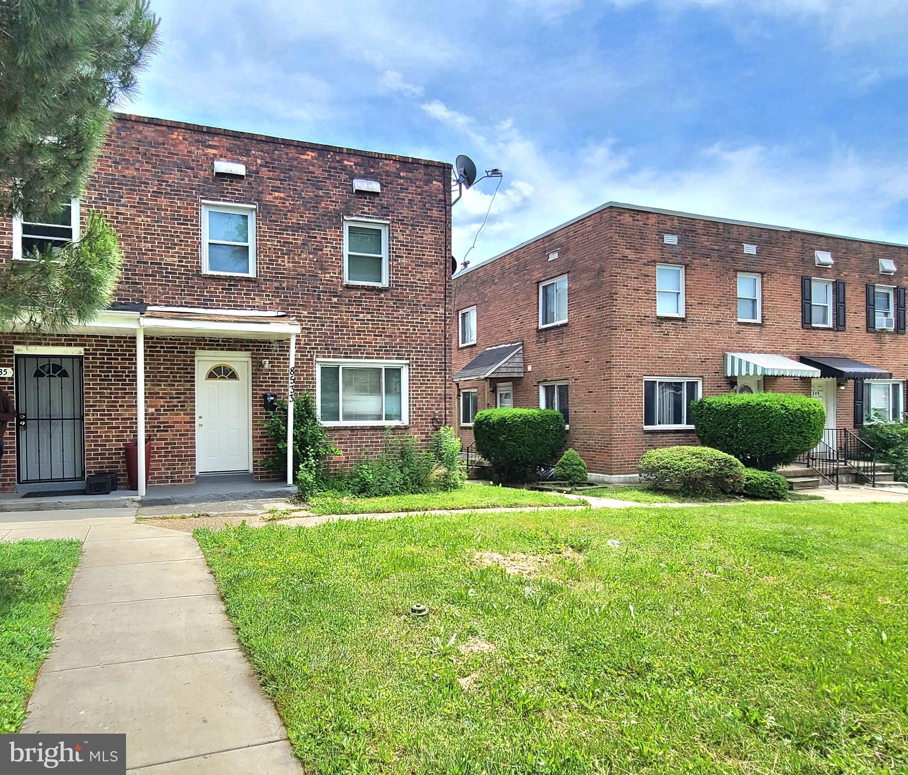 8533 CHESTNUT OAK