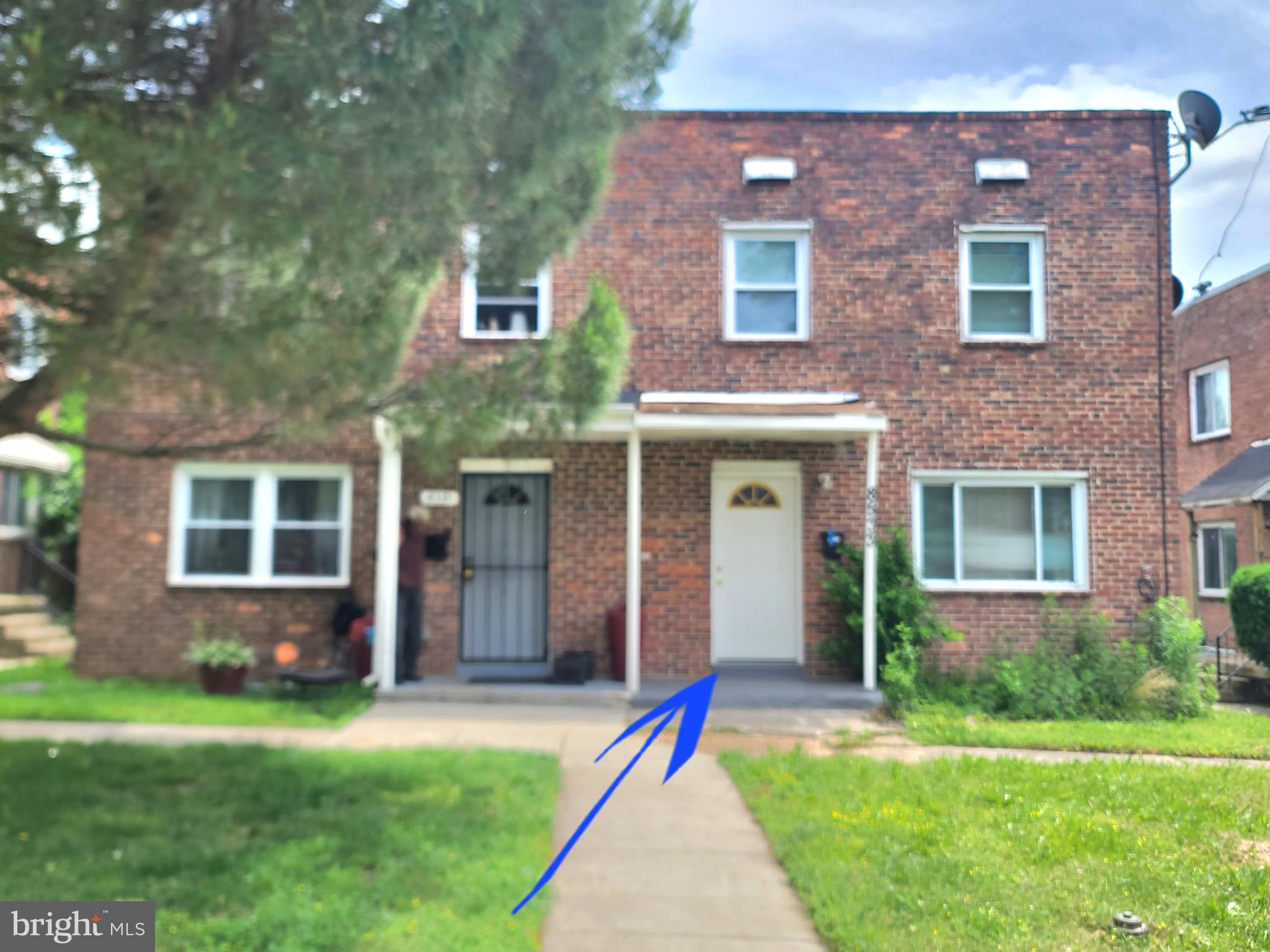 8533 CHESTNUT OAK