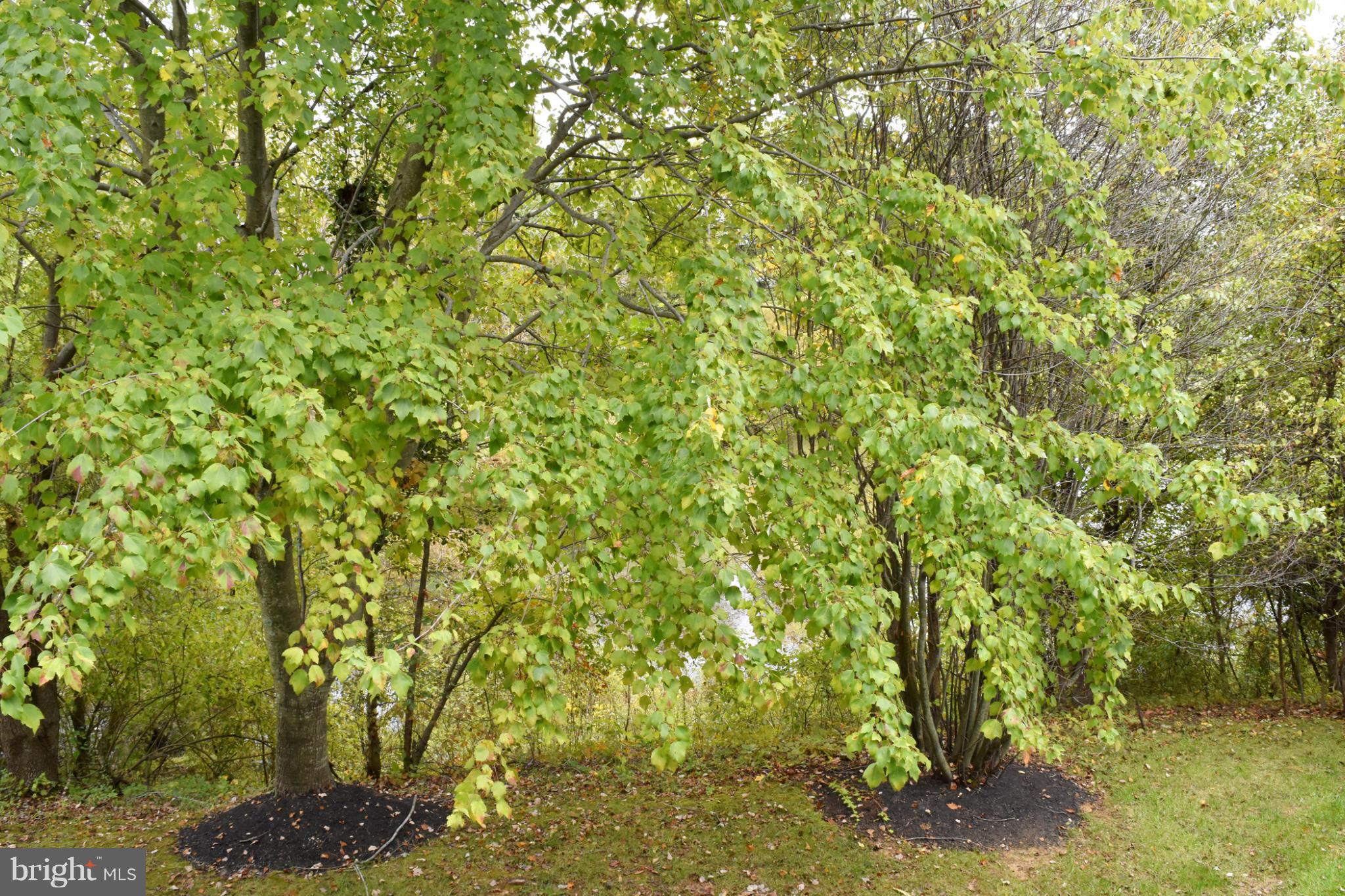 VILLAGE OF MONTGOMERY RUN - Residential Lease