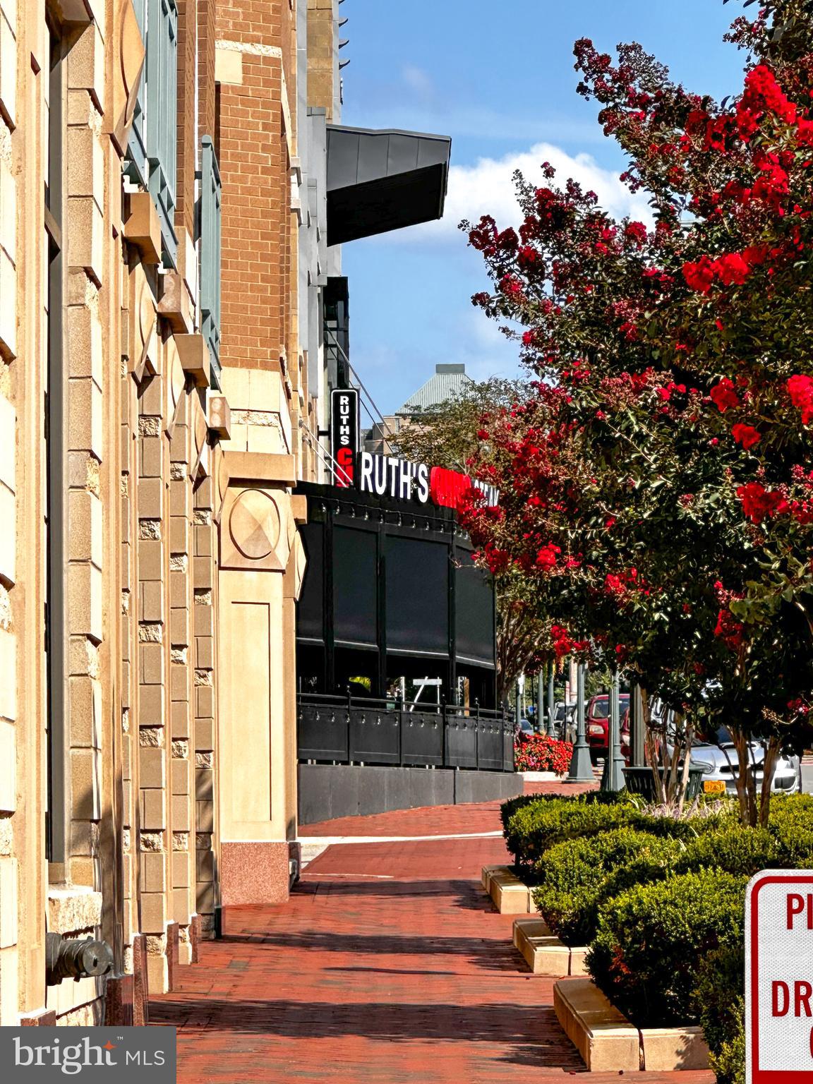 SAVOY AT RESTON TOWN CENTER - Residential