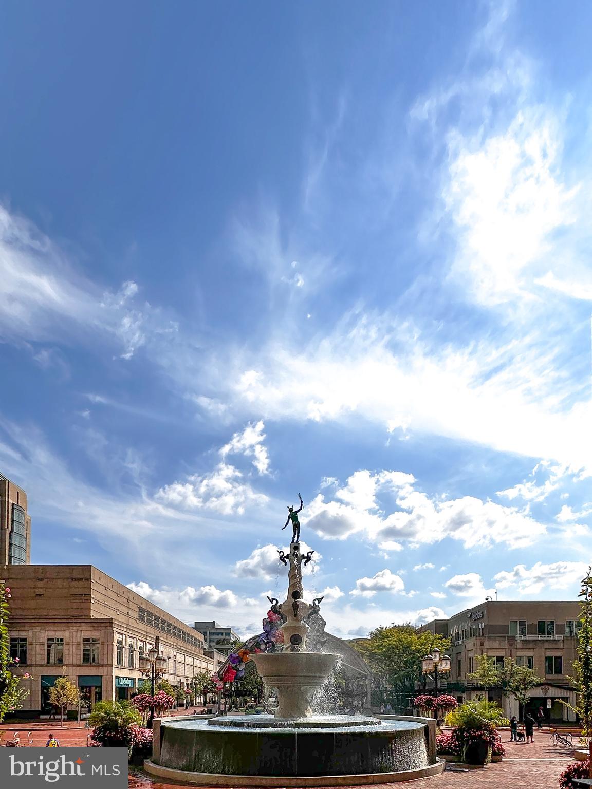 SAVOY AT RESTON TOWN CENTER - Residential