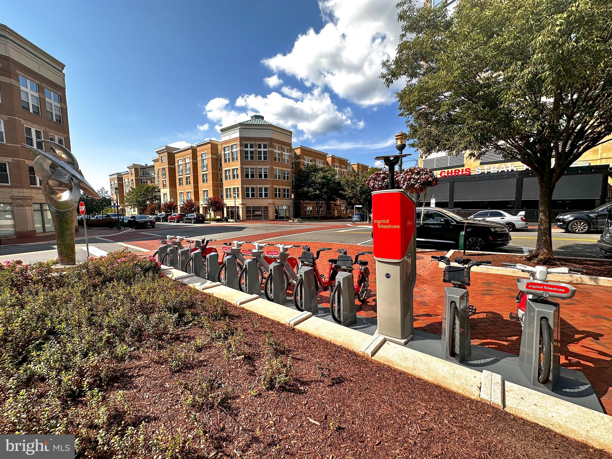 SAVOY AT RESTON TOWN CENTER - Residential