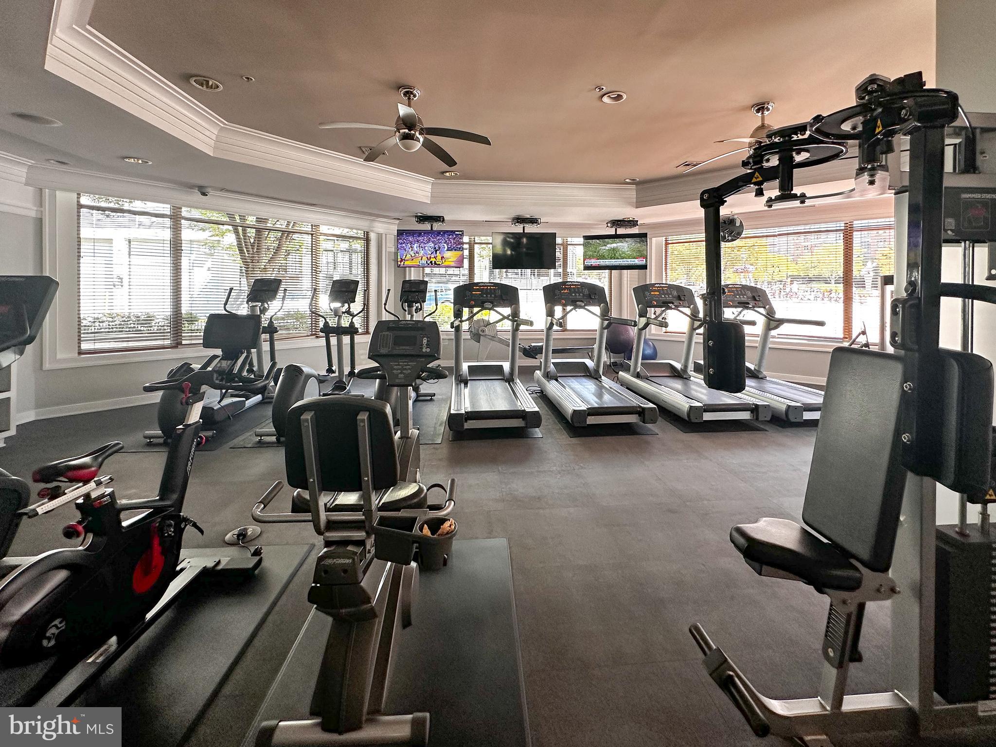 SAVOY AT RESTON TOWN CENTER - Residential