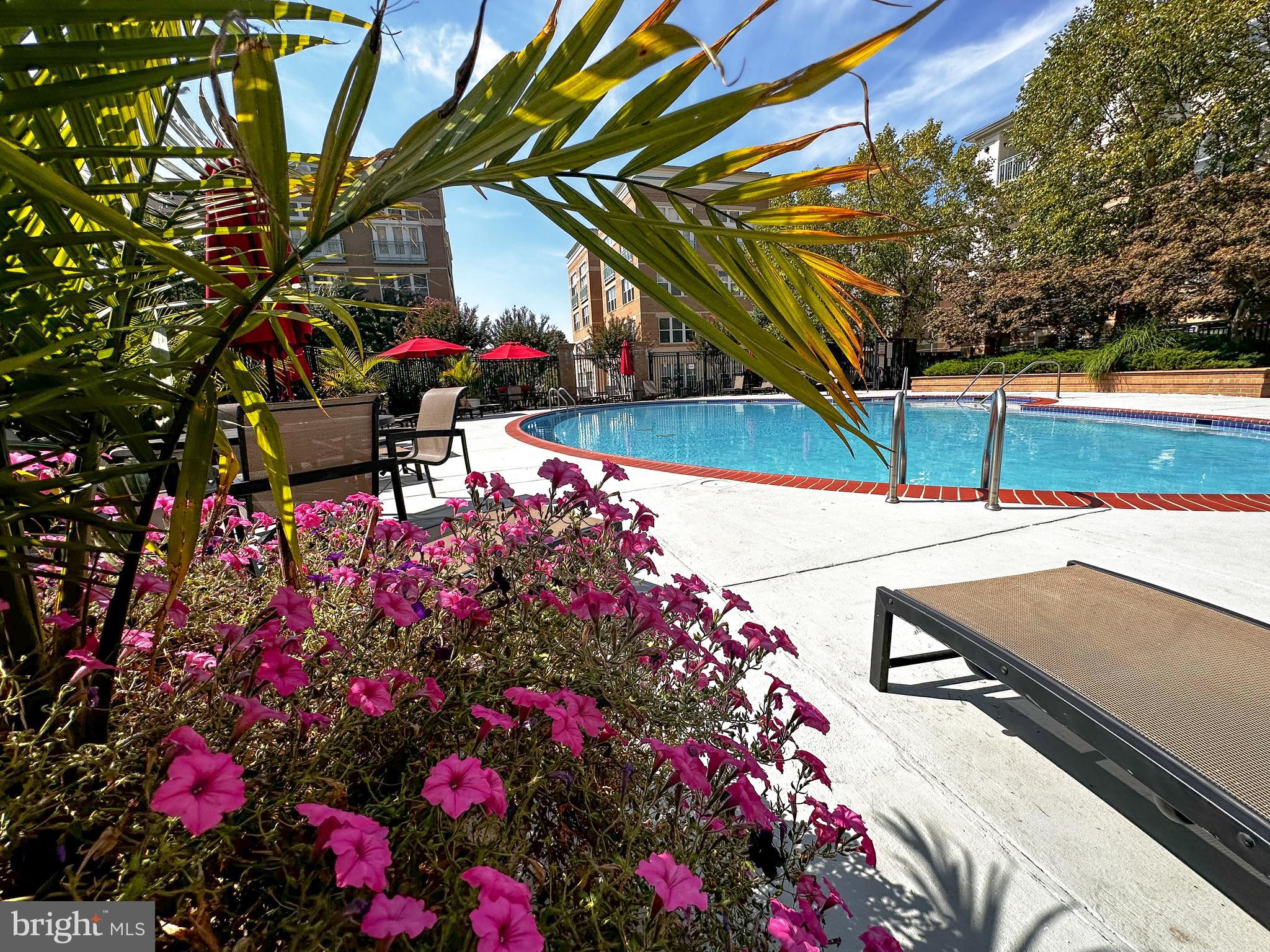 SAVOY AT RESTON TOWN CENTER - Residential