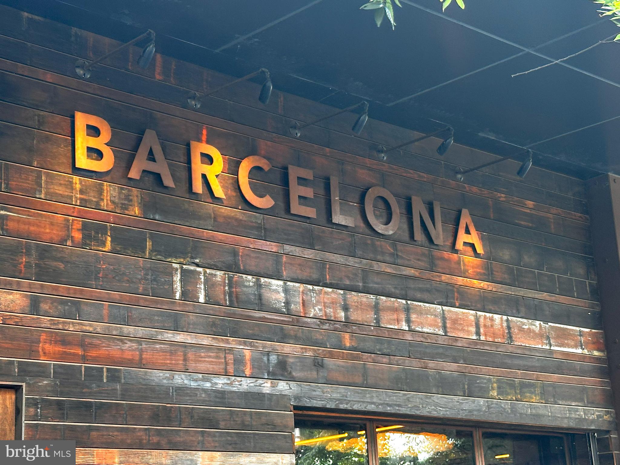 SAVOY AT RESTON TOWN CENTER - Residential