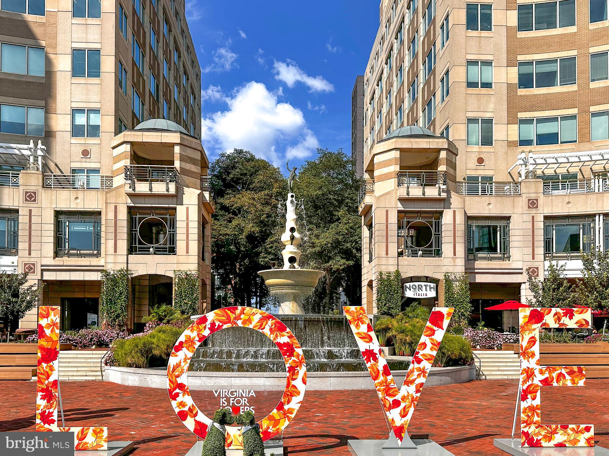 SAVOY AT RESTON TOWN CENTER - Residential