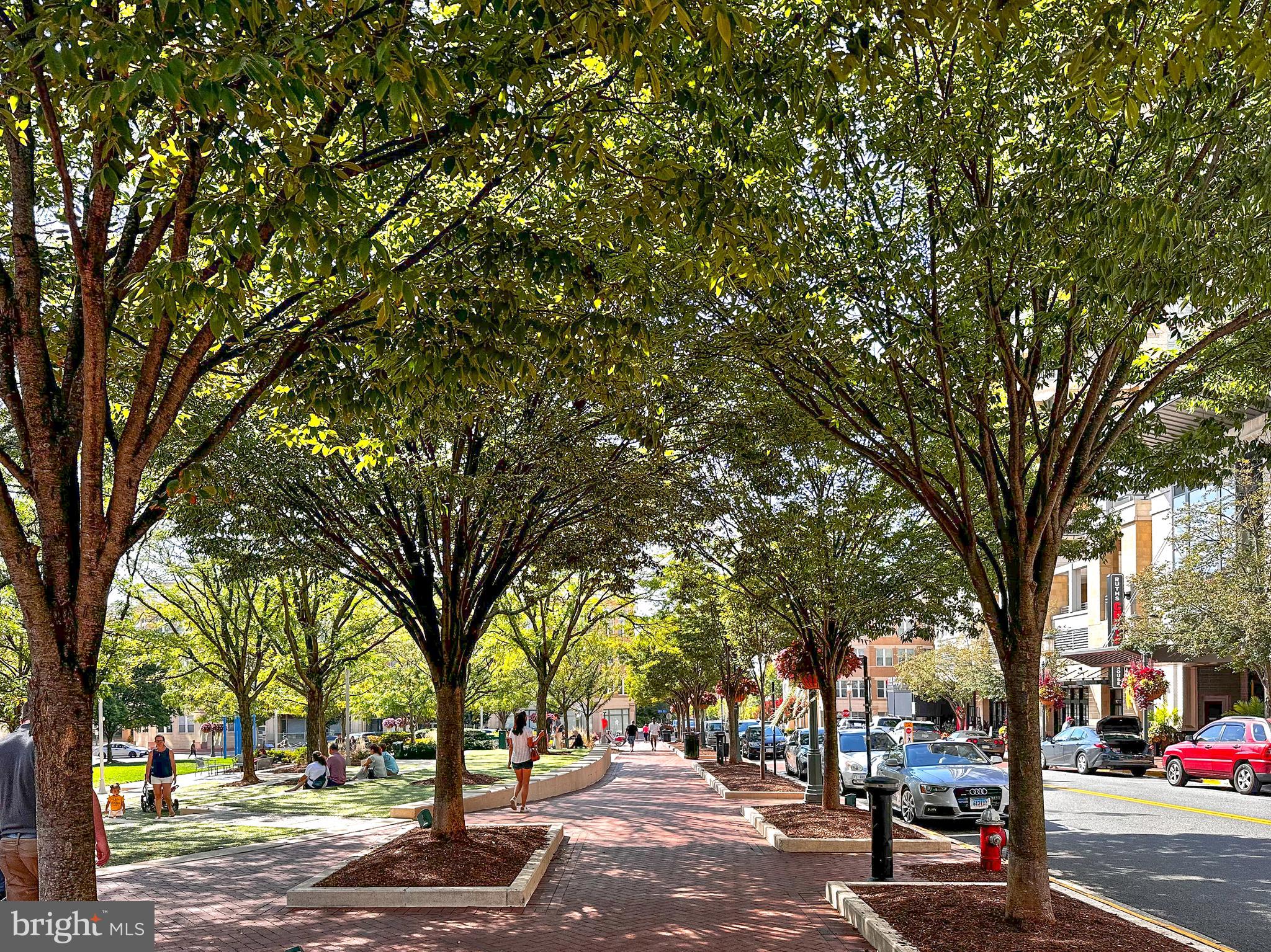 SAVOY AT RESTON TOWN CENTER - Residential