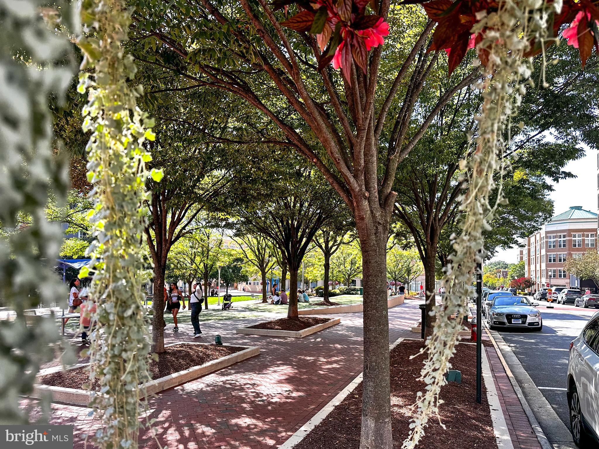 SAVOY AT RESTON TOWN CENTER - Residential