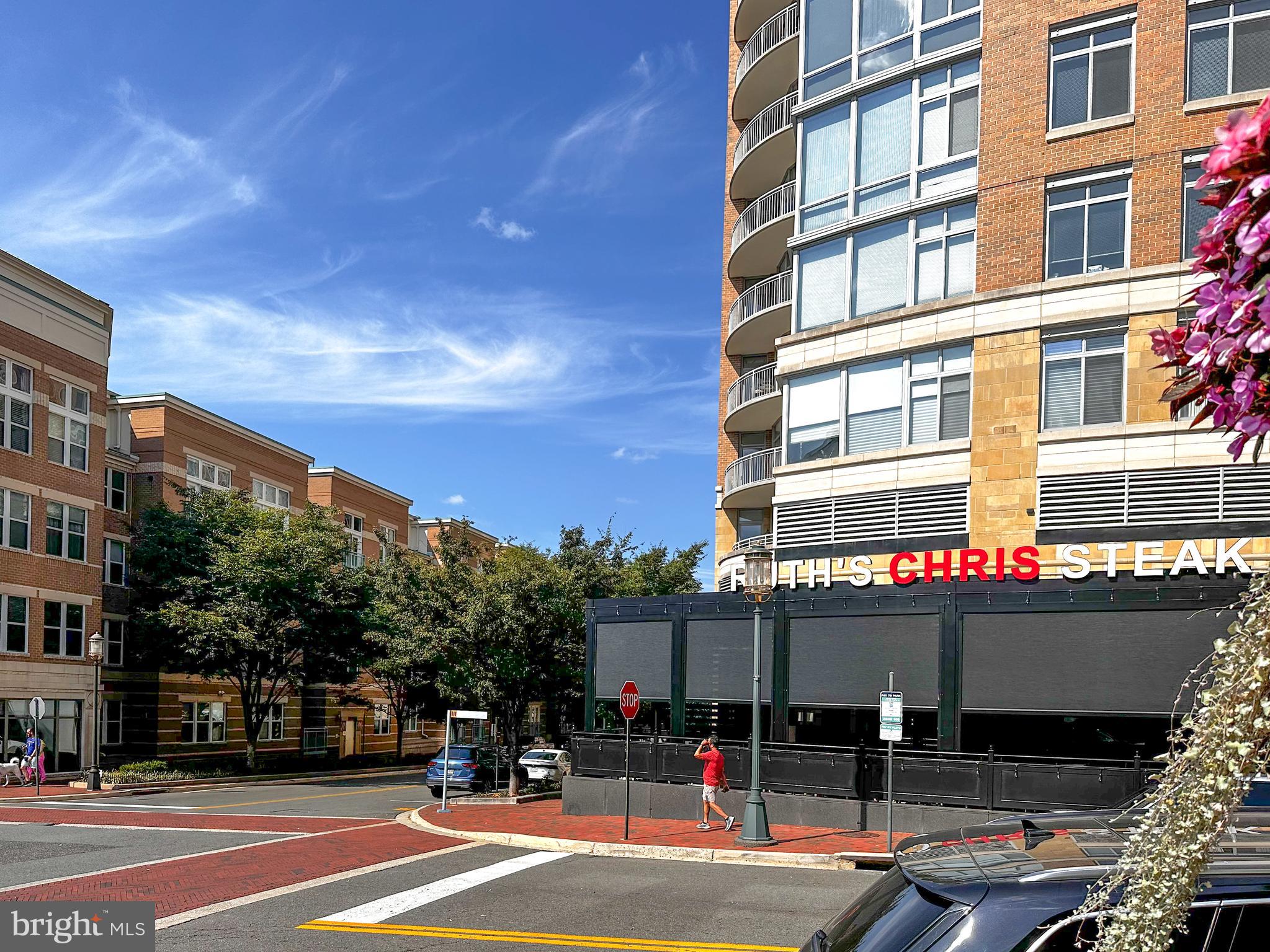 SAVOY AT RESTON TOWN CENTER - Residential