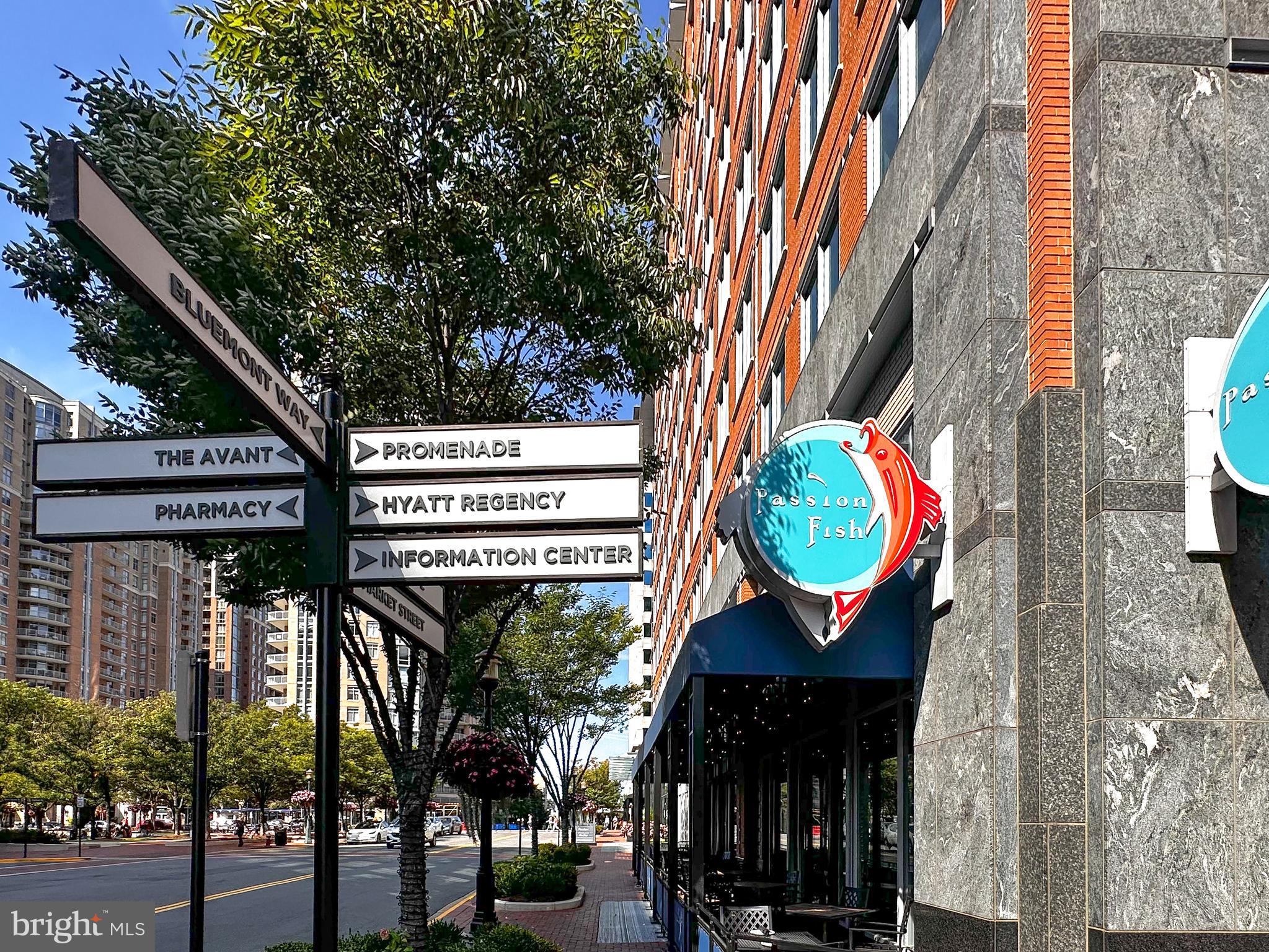 SAVOY AT RESTON TOWN CENTER - Residential