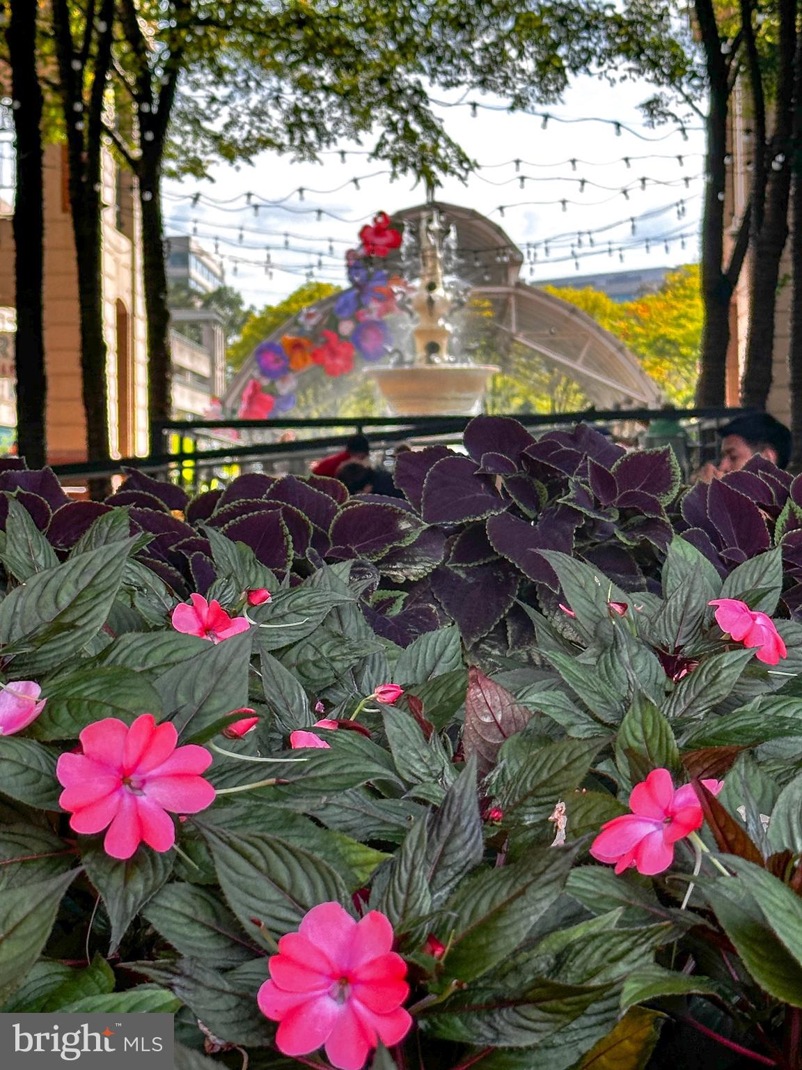 SAVOY AT RESTON TOWN CENTER - Residential