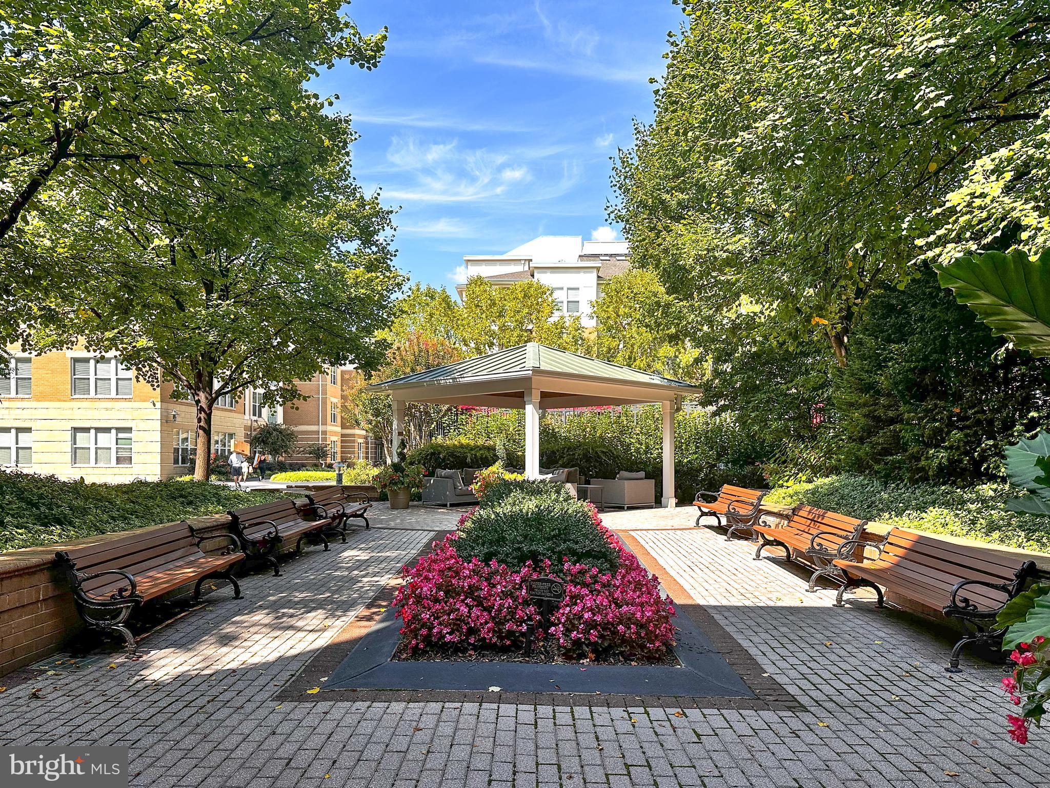 SAVOY AT RESTON TOWN CENTER - Residential