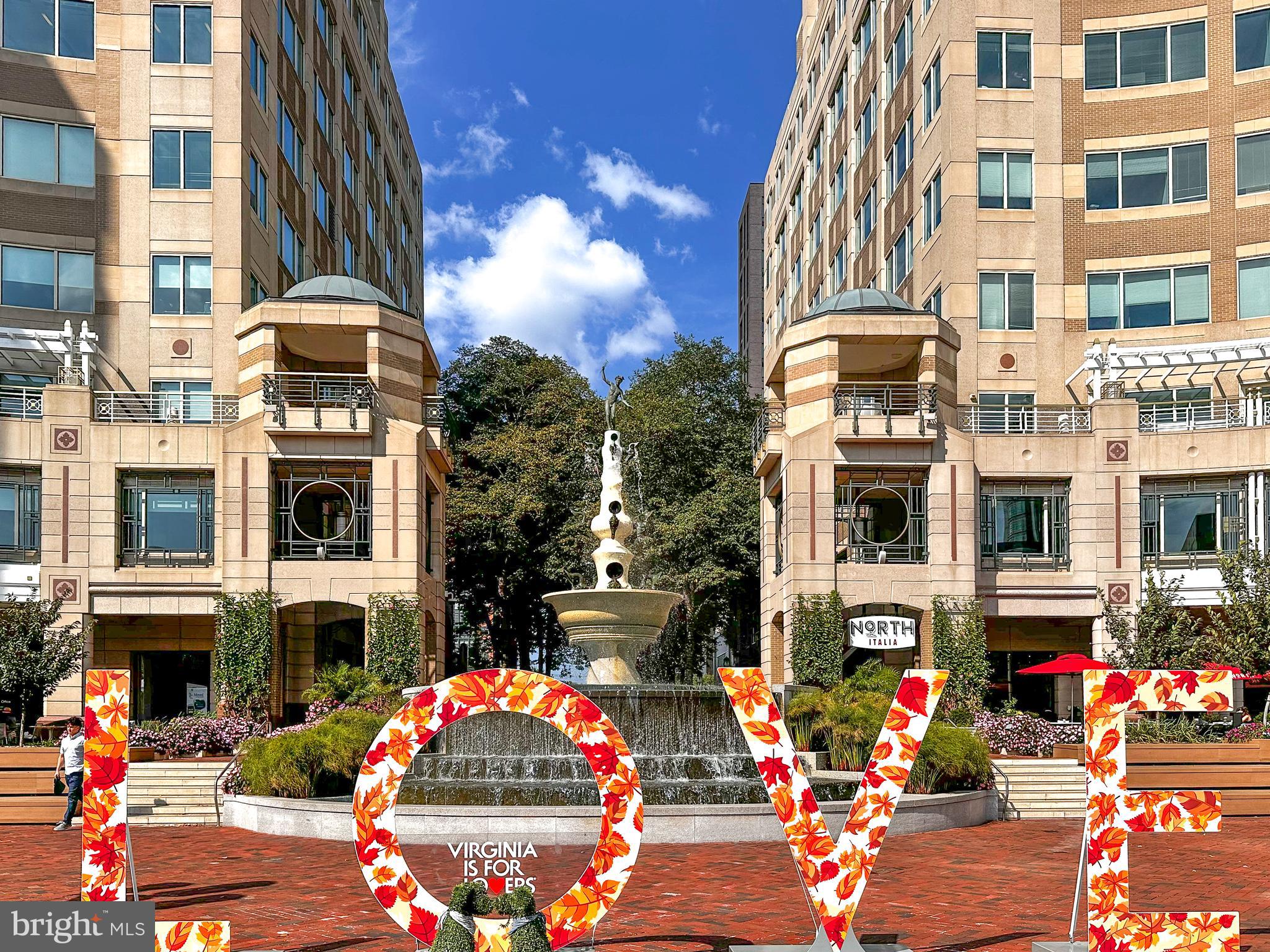SAVOY AT RESTON TOWN CENTER - Residential