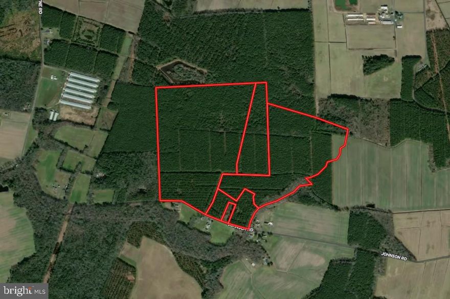 SEALED BID OFFERING: Beaverdam Forest is a large, contiguous working forest comprising approximately 177.94+/- acres across five tax parcels with direct access from Johnson Road located approximately 5 miles southeast of Pocomoke City in Worcester County, MD. 92+/- acres are enrolled in the Conservation Reserve Program (CRP) that provides quality wildlife habitat and significant income. Although the property is perpetually conserved, there is a 1.2+/- acre lot that remains unencumbered on Johnson Neck Road that could be a homesite pending a feasibility study. 

DO NOT ENTER PROPERTY WITHOUT PERMISSION OF THE LAND GROUP. List price is the minimum bid requirement. Full bid package available through listing agent.