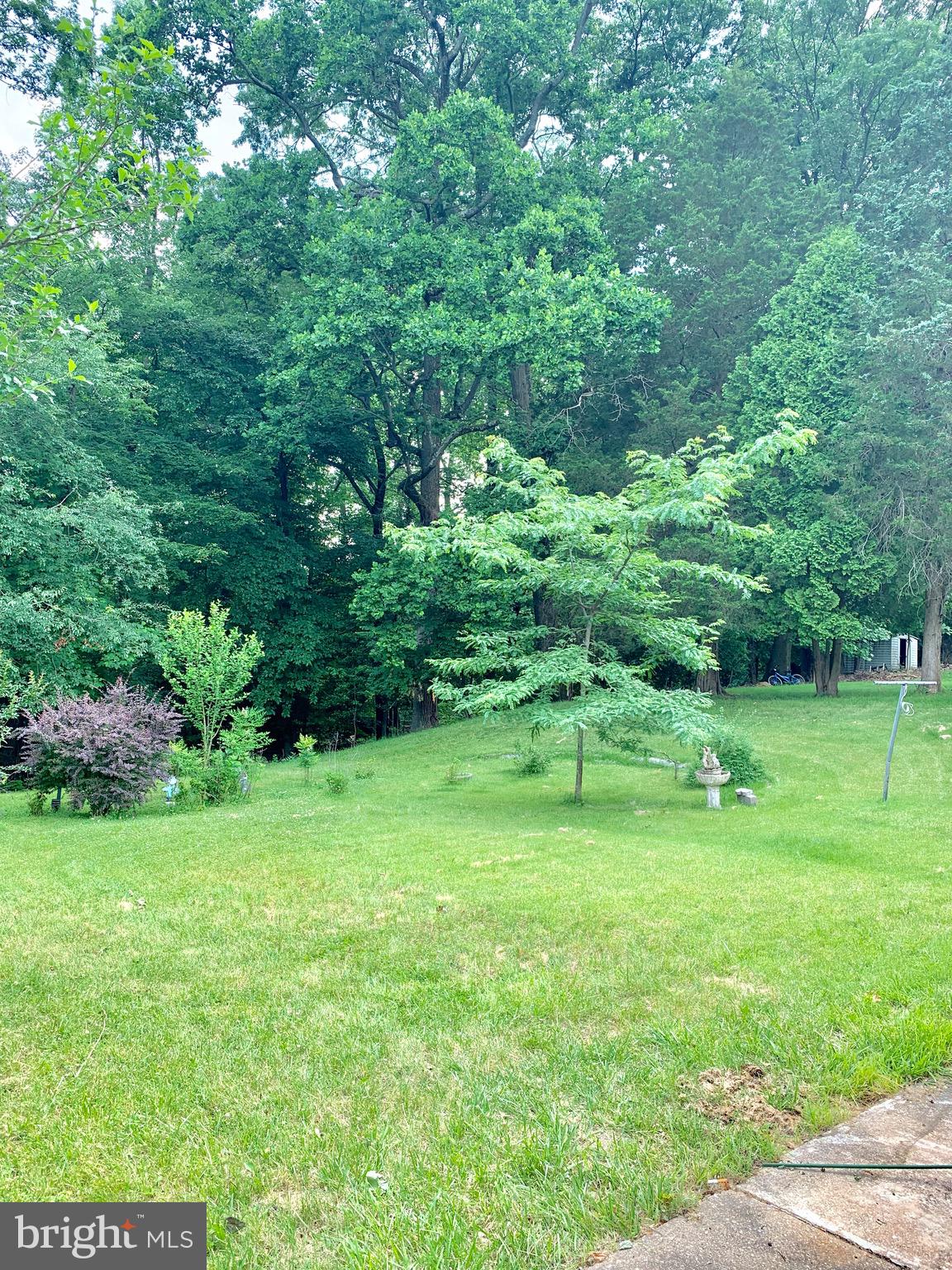 NICELY'S - Residential