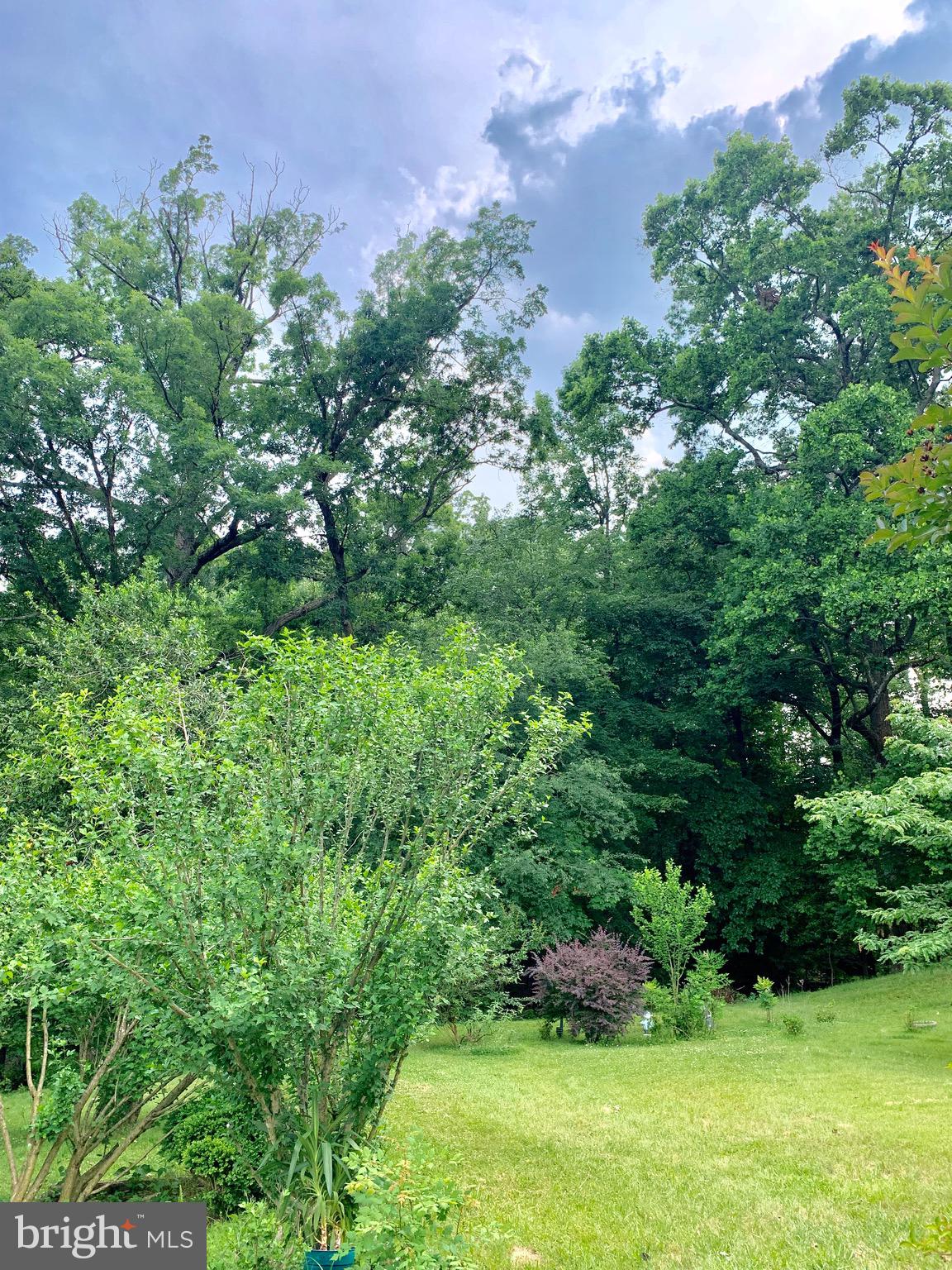 NICELY'S - Residential