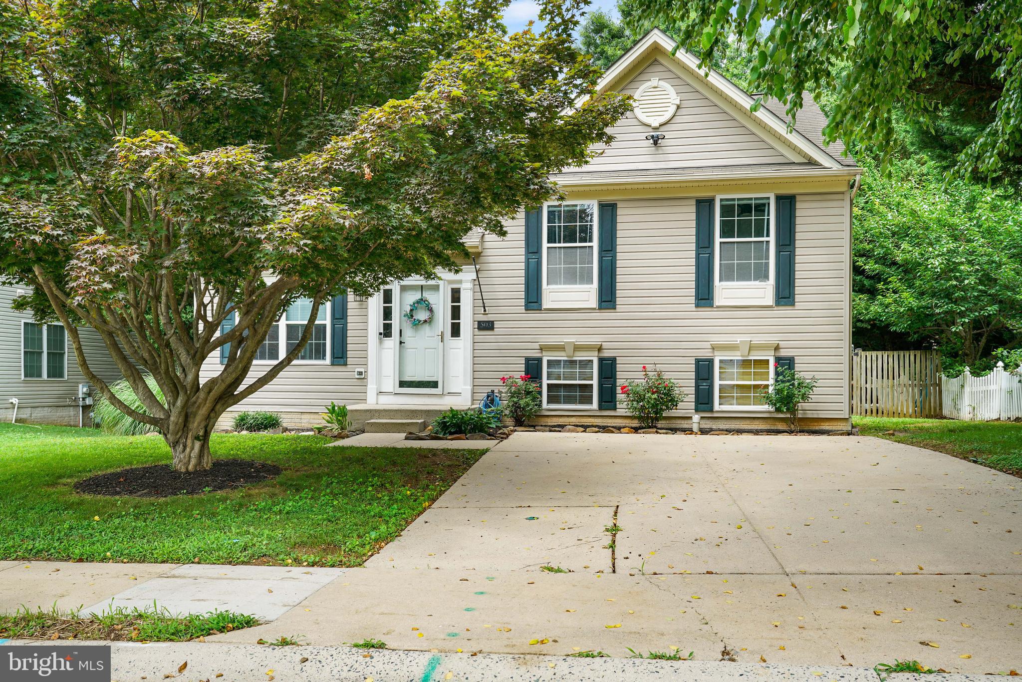 503 CONCORD POINT DRIVE